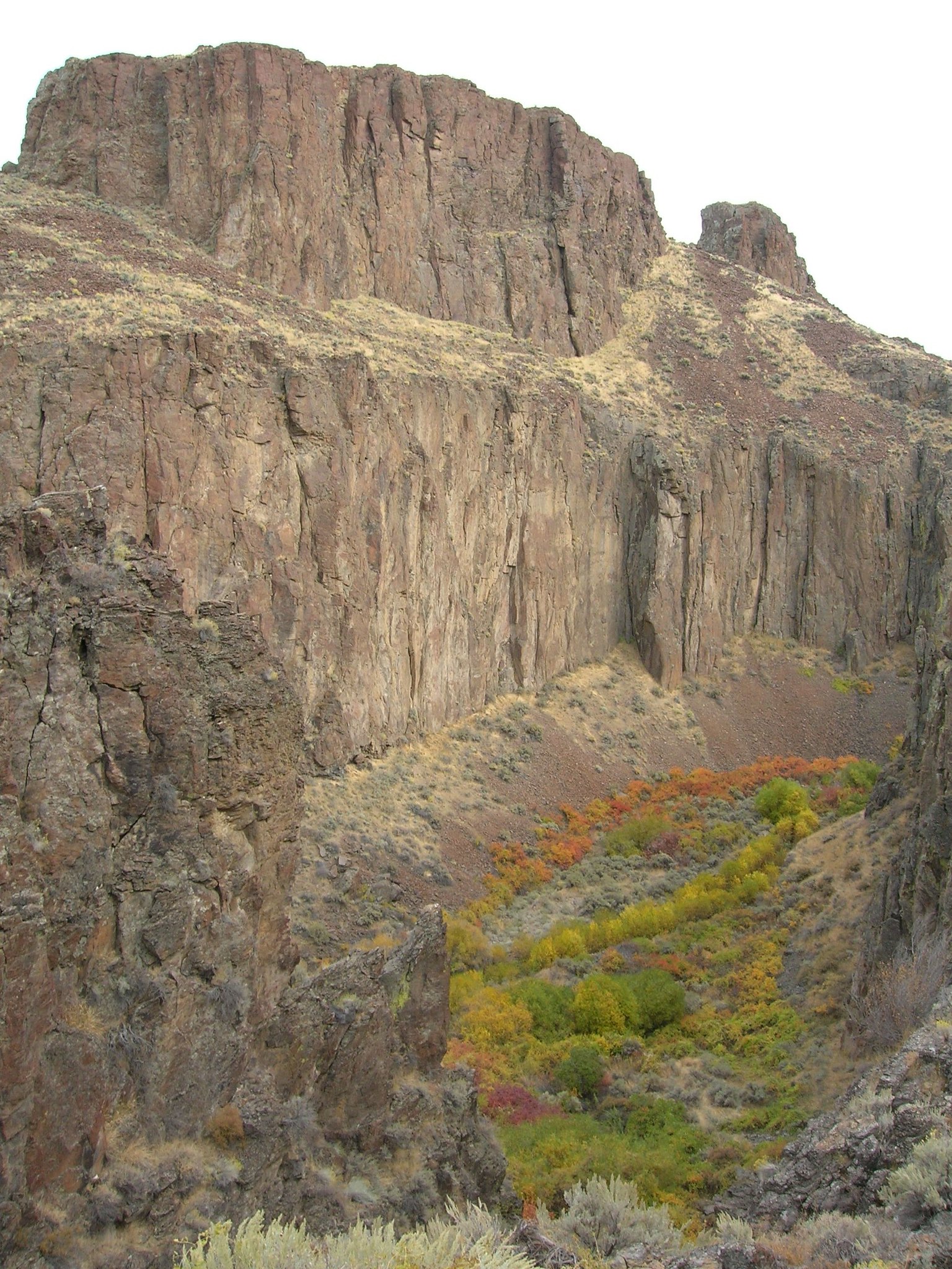 Big Jacks Creek Wilderness