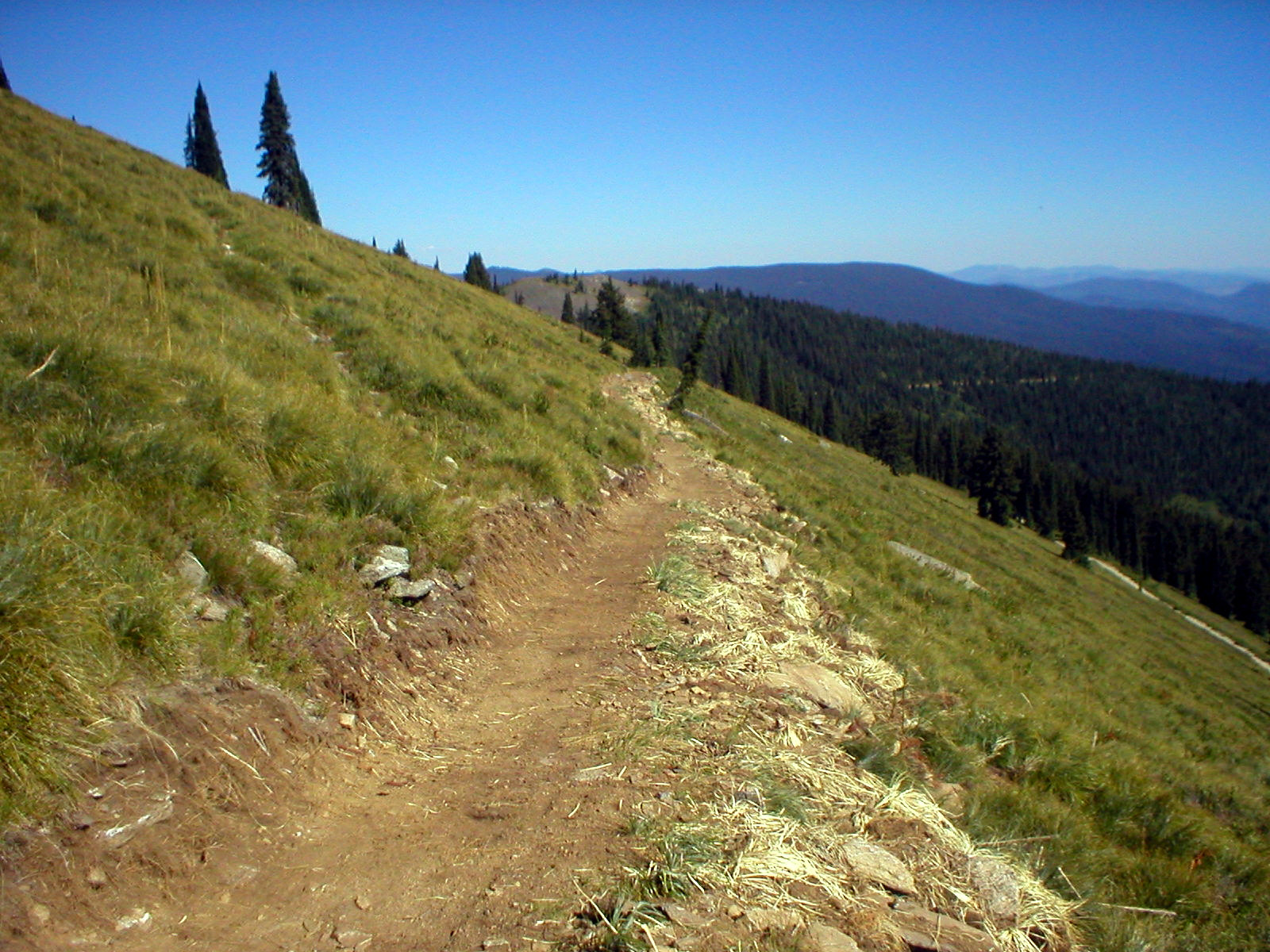Delaney Creek