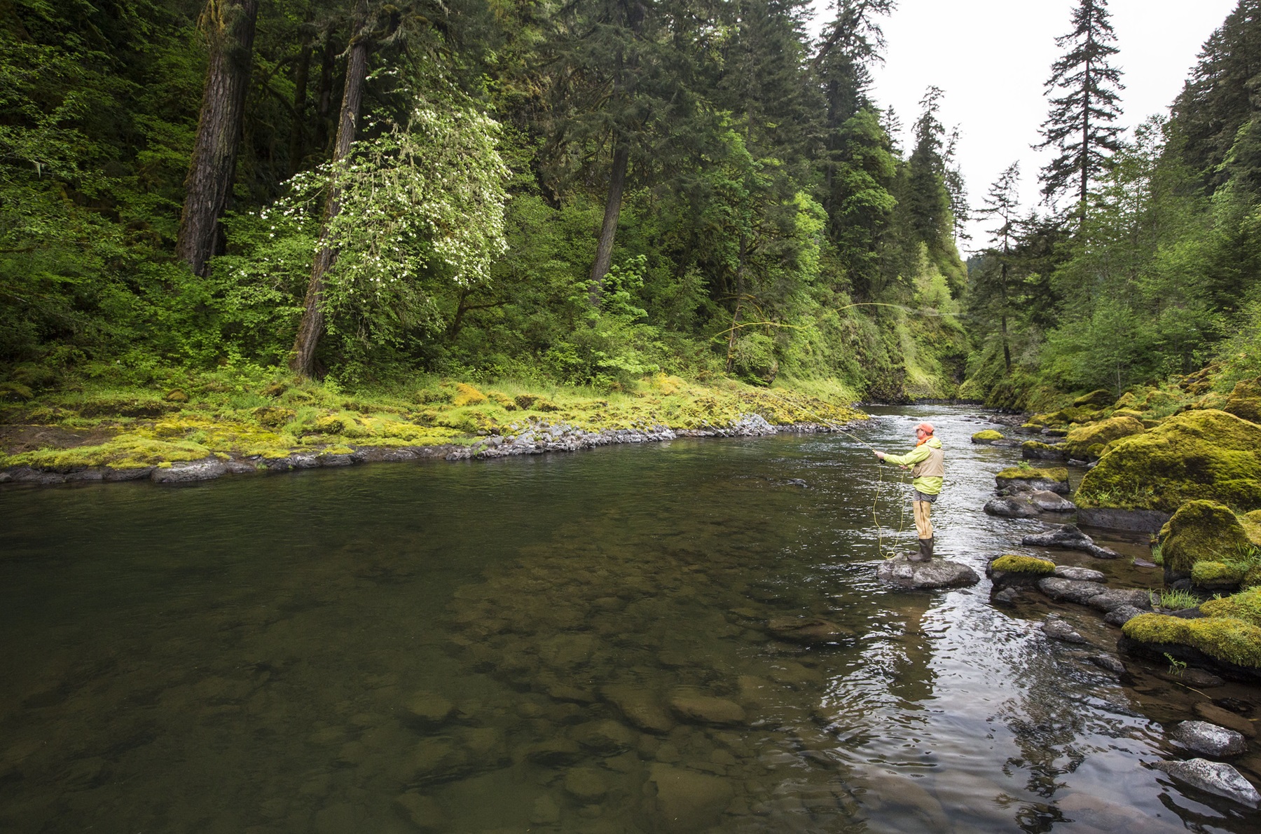 Angler in the Molalla River