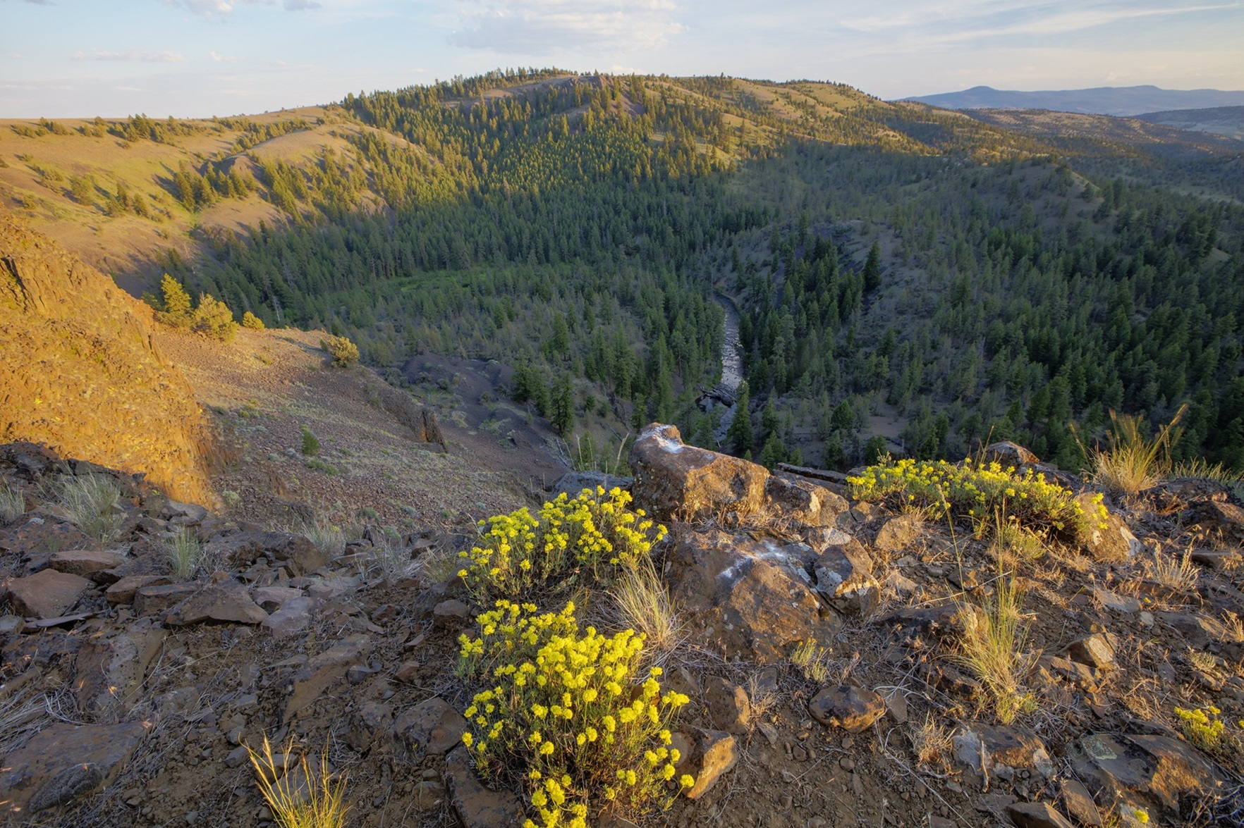 Canyon evening view of the North Fork Crooked Wild and Scenic River