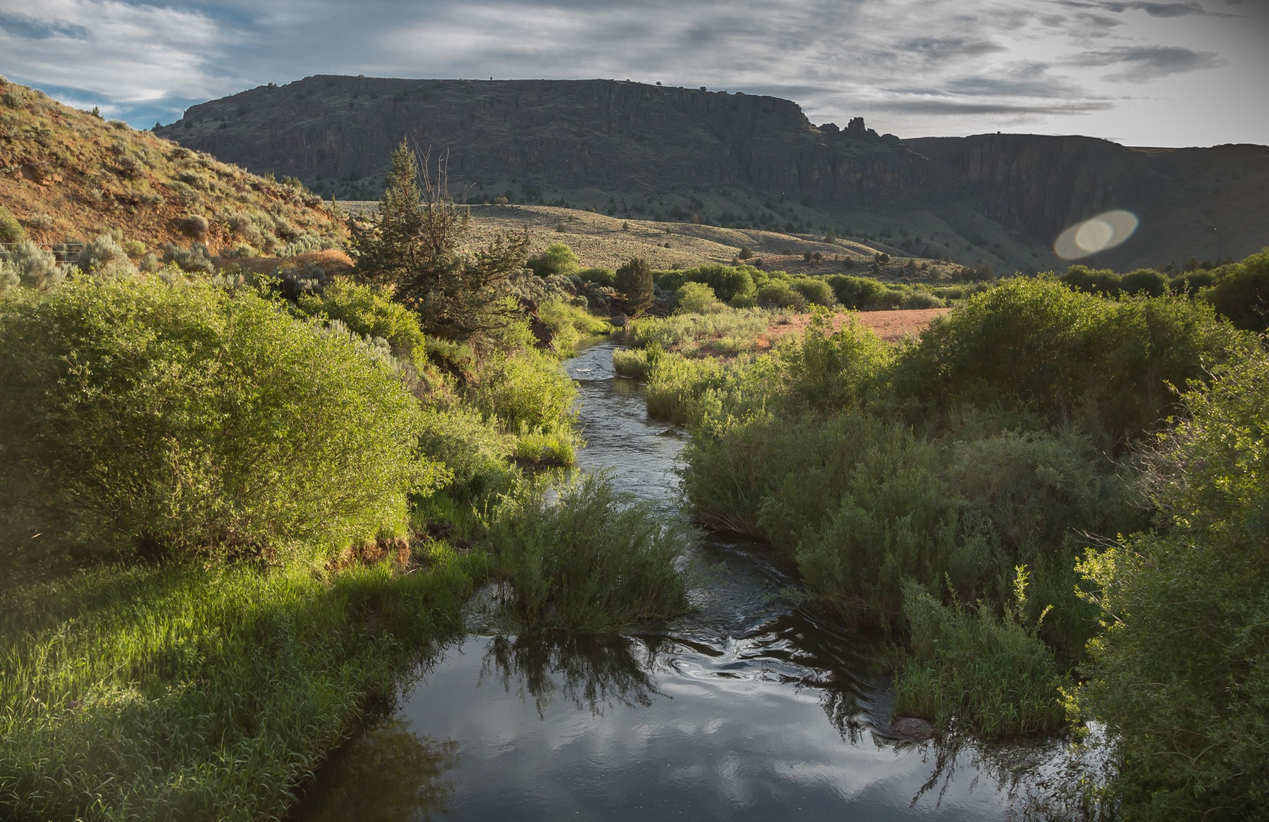 North Fork Owyhee with the Three Forks Dome in the background