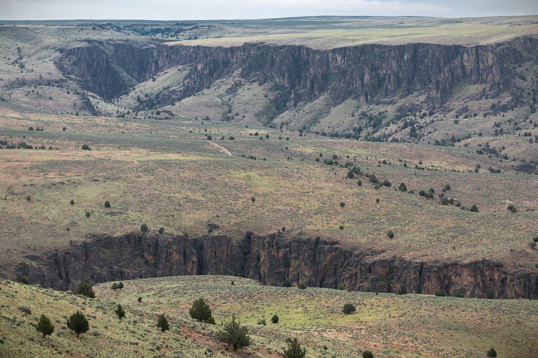 Incised canyon of the North Fork Owyhee Wild and Scenic River
