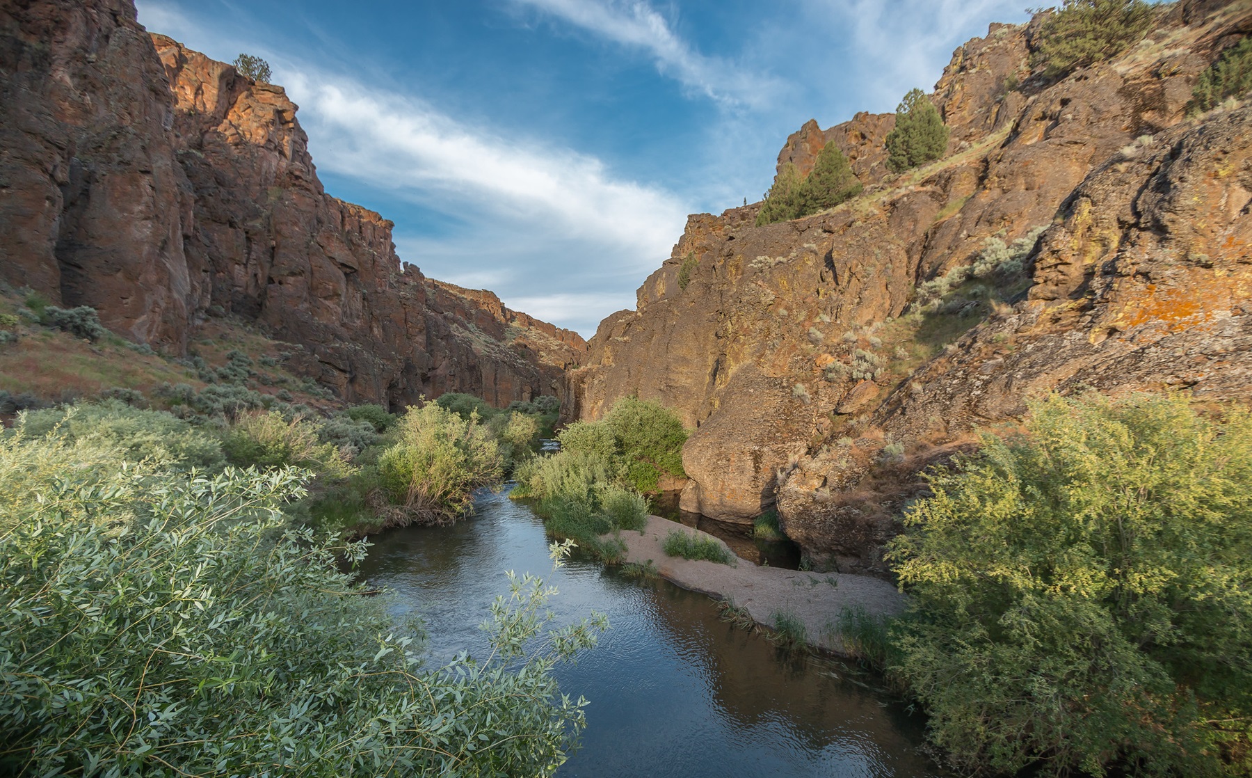 North Fork Owyhee Wild and Scenic River near Three Forks