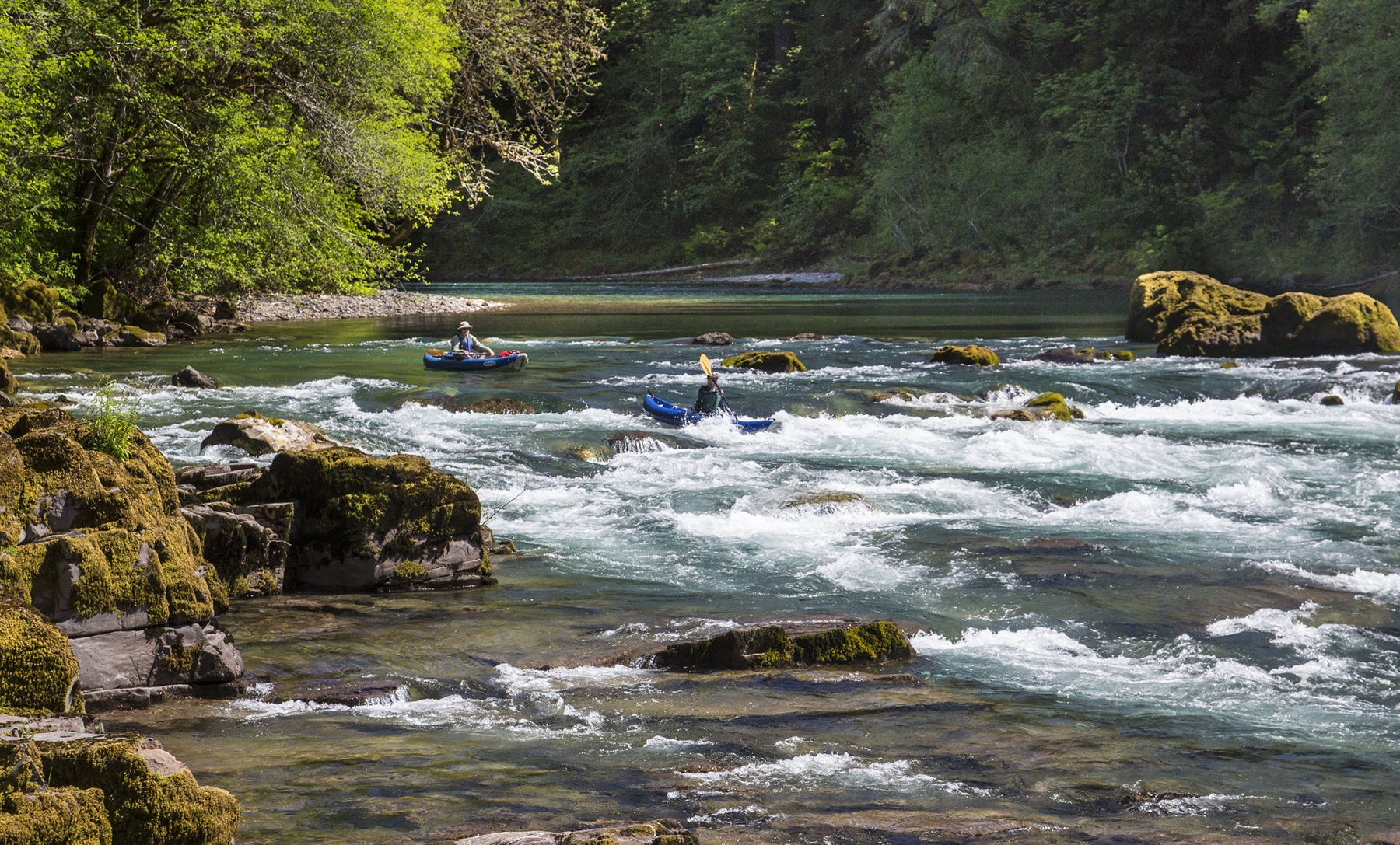 Kayakers on the North Umpqua Wild and Scenic River