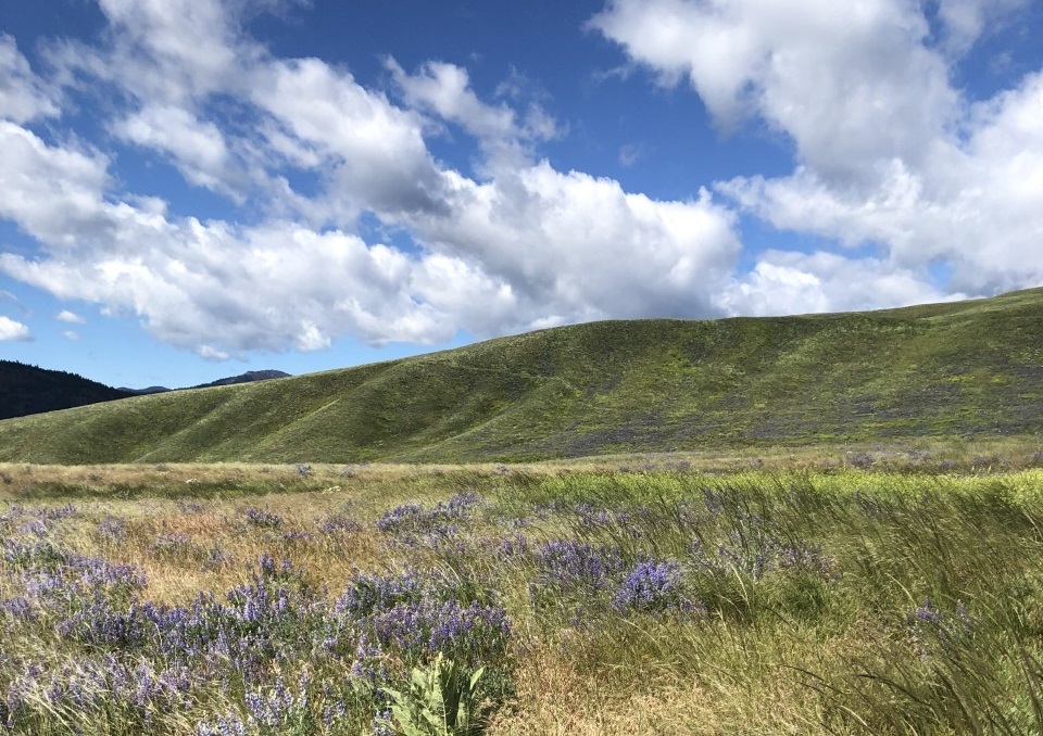 Palmer Mountain