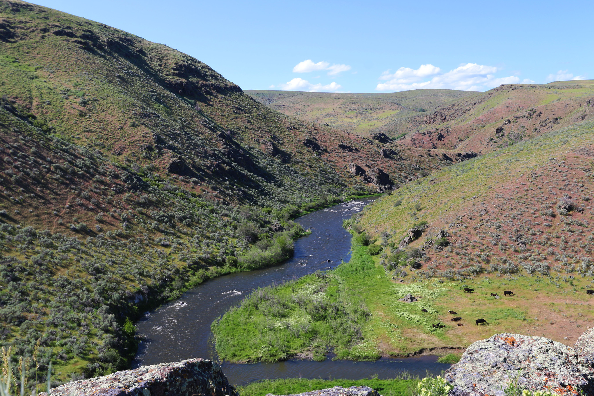 Powder Wild and Scenic River