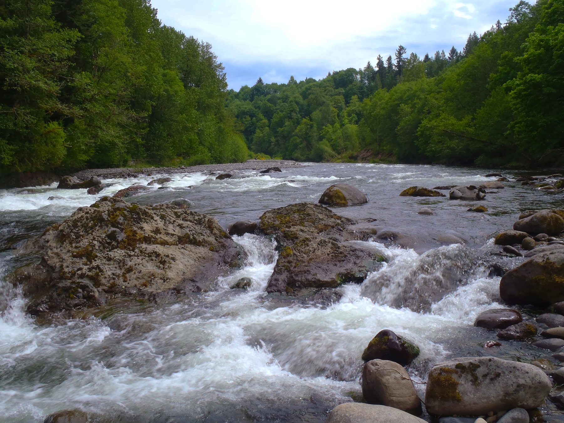 Sandy Wild and Scenic River