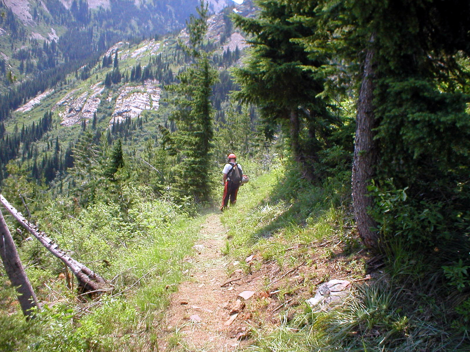 Sheep Springs Overlook trail