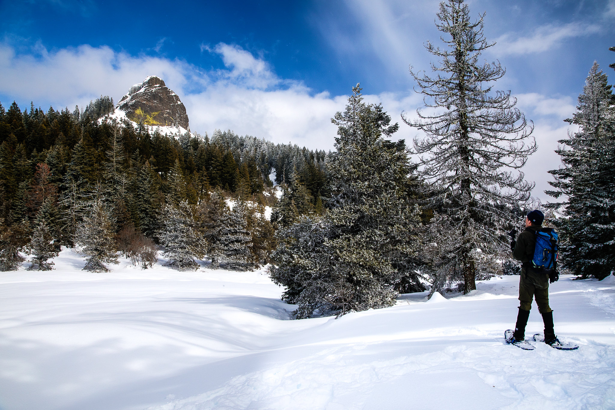 Winter in the Soda Mountain Wilderness