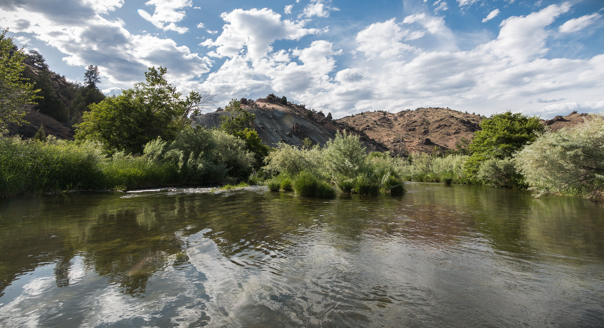 Downriver view of the South Fork John Day Wild and Scenic River, south of Smoky Creek