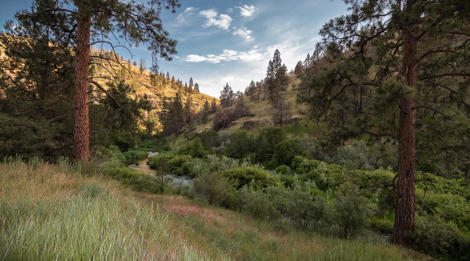 Upriver view of the South Fork John Day Wild and Scenic River