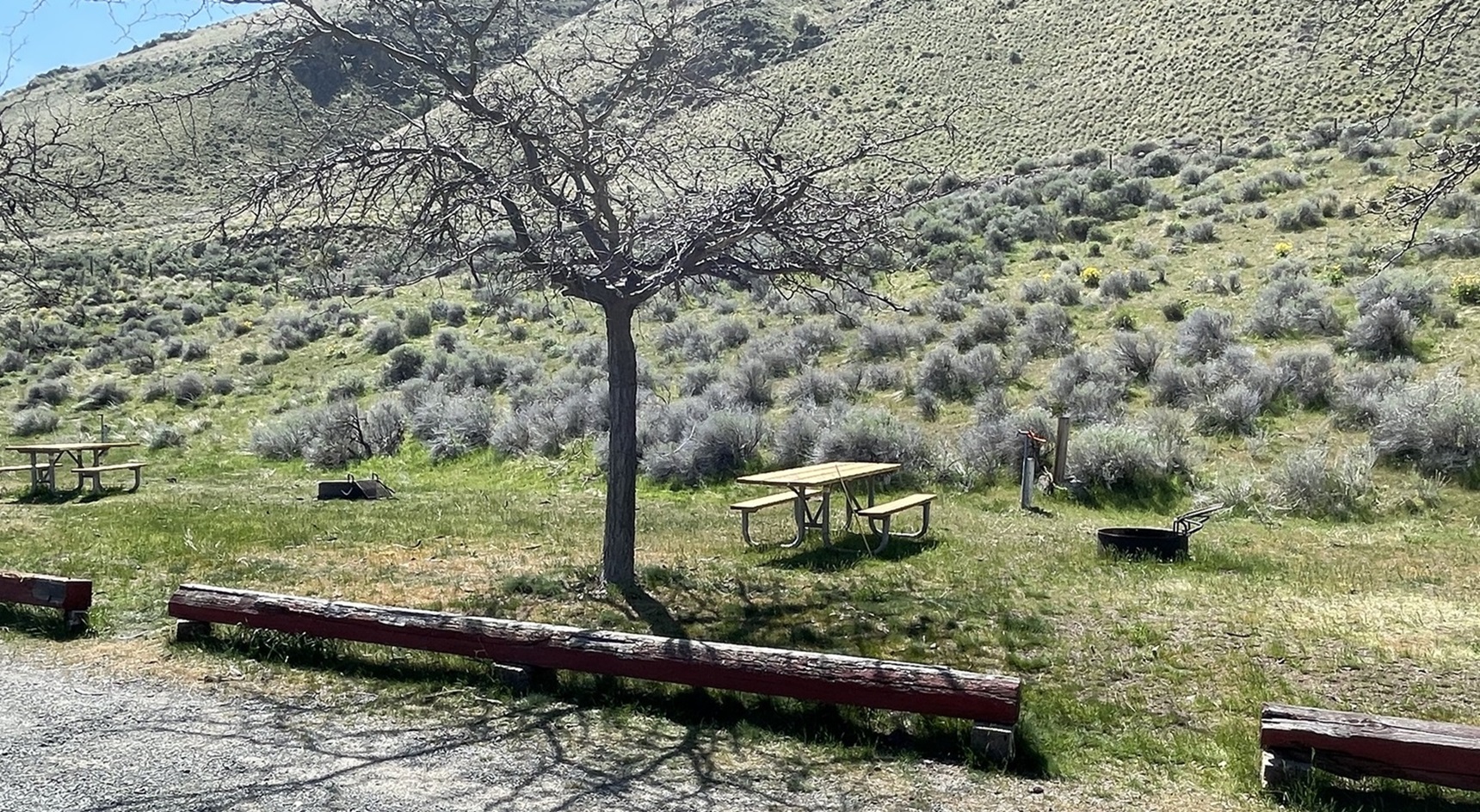 Campsite at Spring Recreation Site