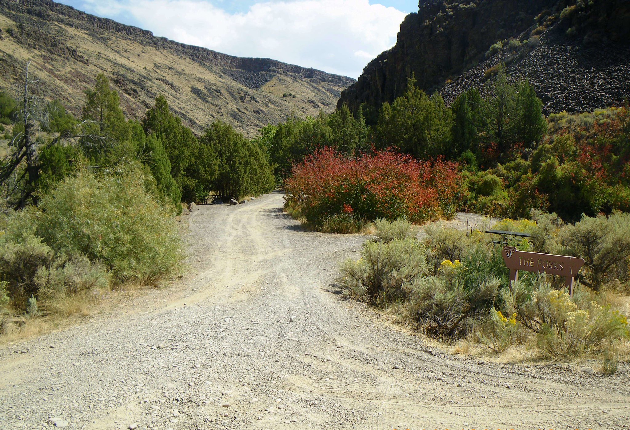 Jarbidge Wilderness Camp NV — Humboldt National Forest, Jarbidge NV dispersed campsite