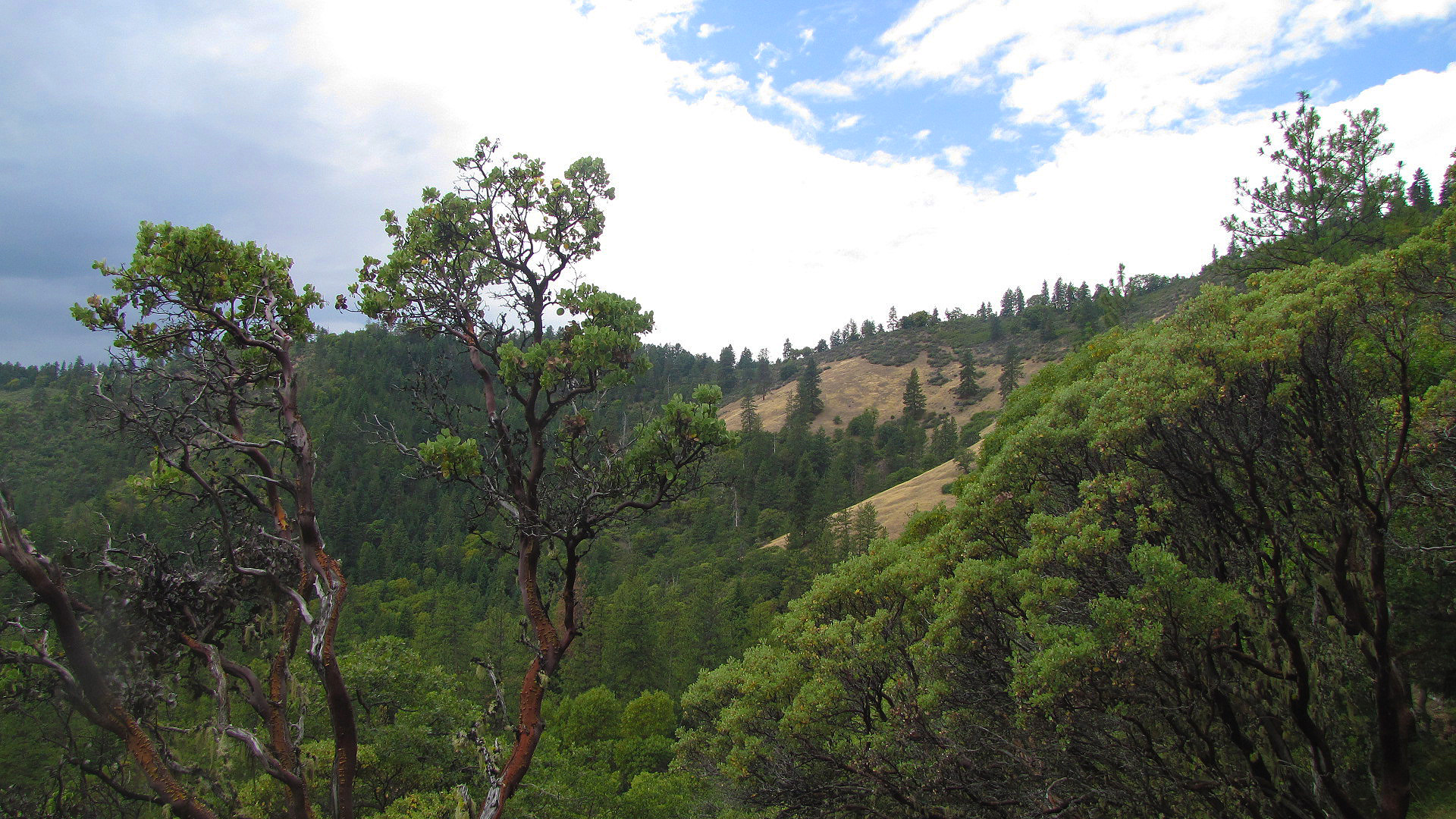 Applegate Trail Camp — Rogue River-Siskiyou NF, Jacksonville OR dispersed campsite