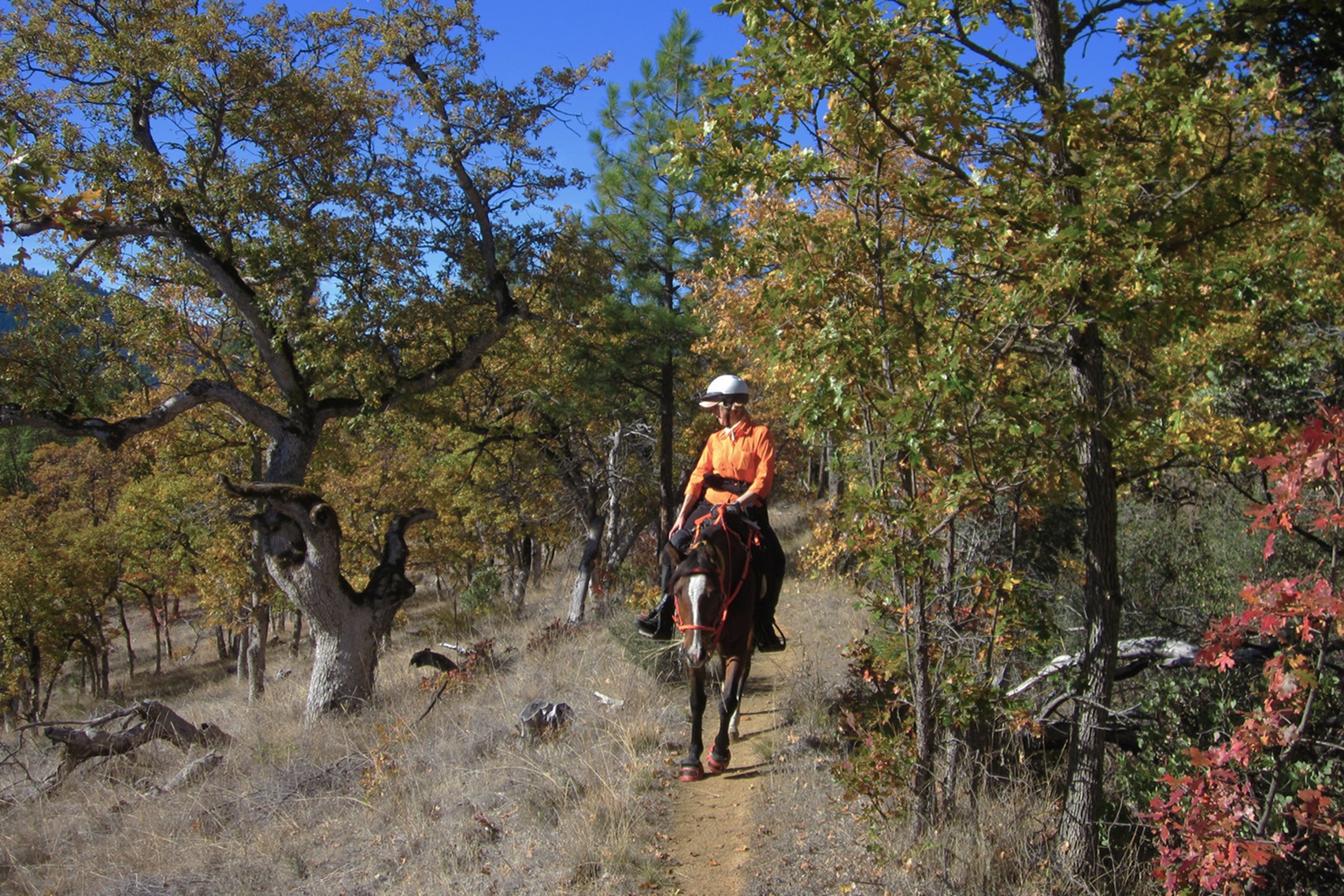 Sterling Mine Ditch Trail