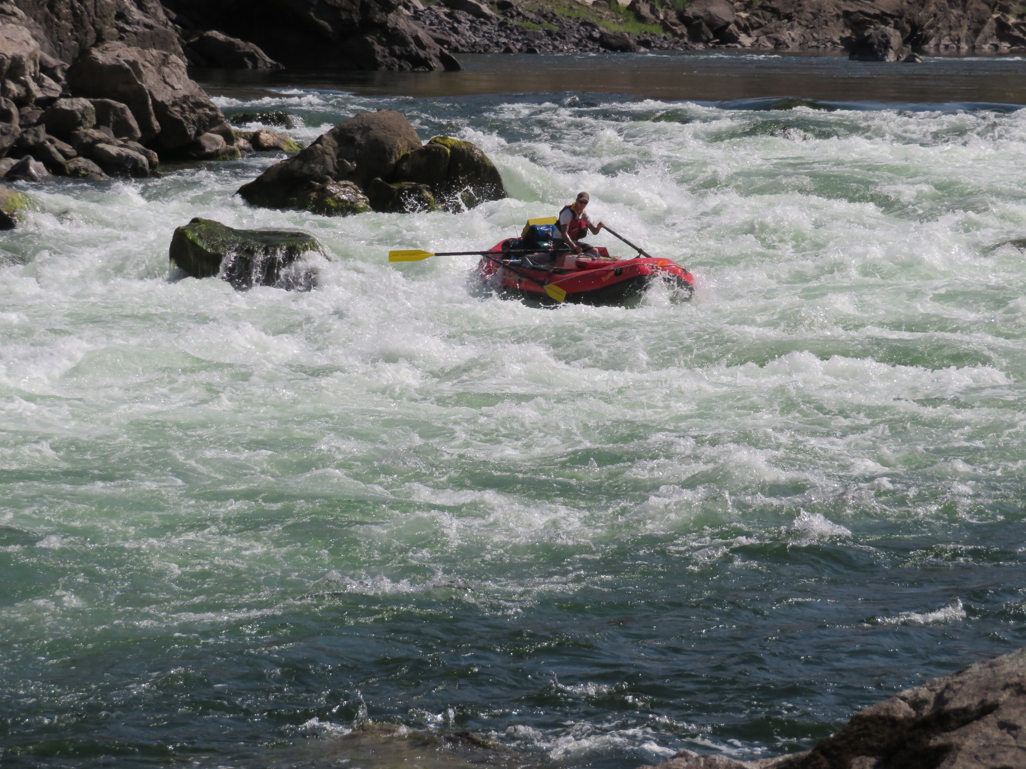 Rafts on the Lower Salmon