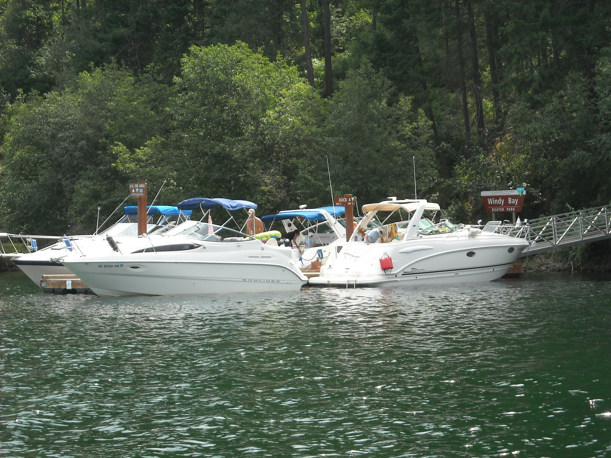 Windy Bay