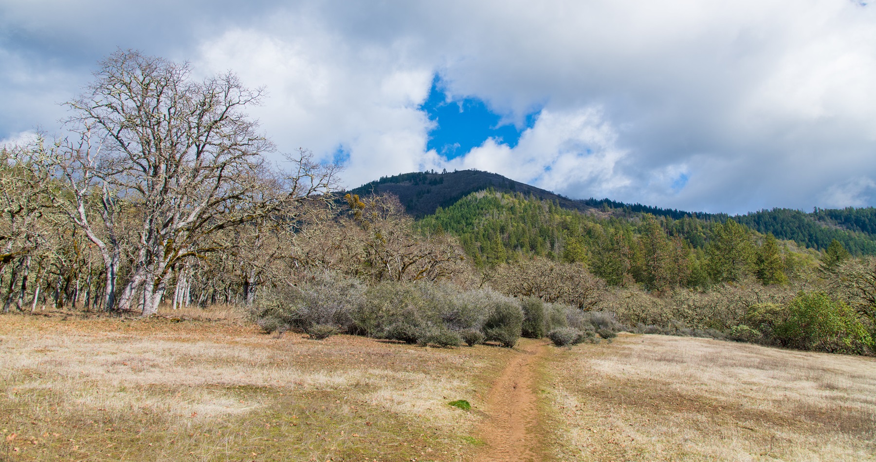 Enchanted Forest & Felton Memorial Trails