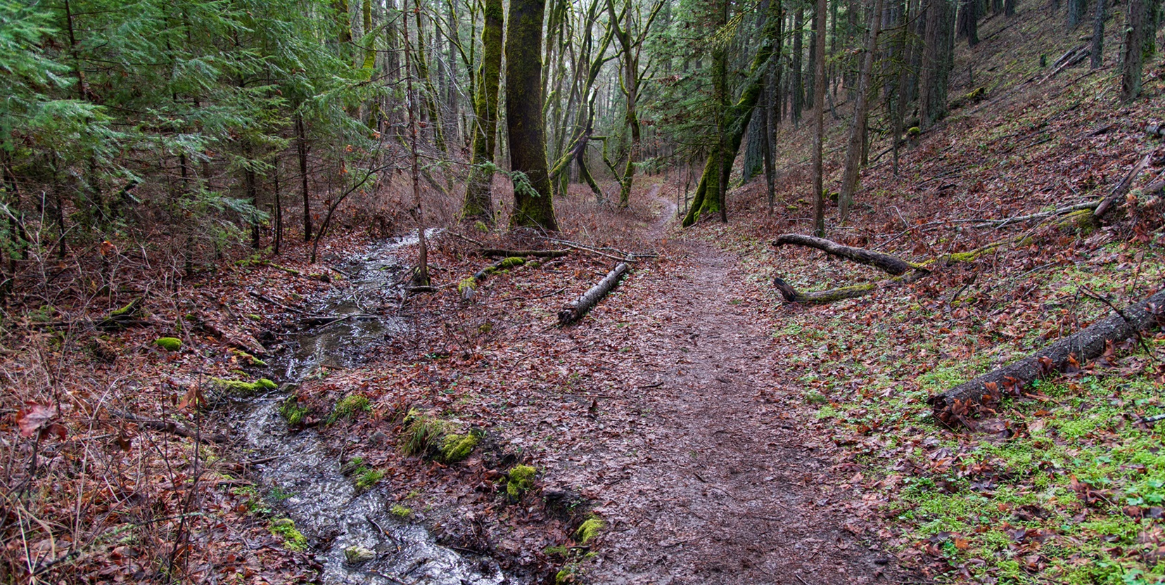 Enchanted Forest & Felton Memorial Trails