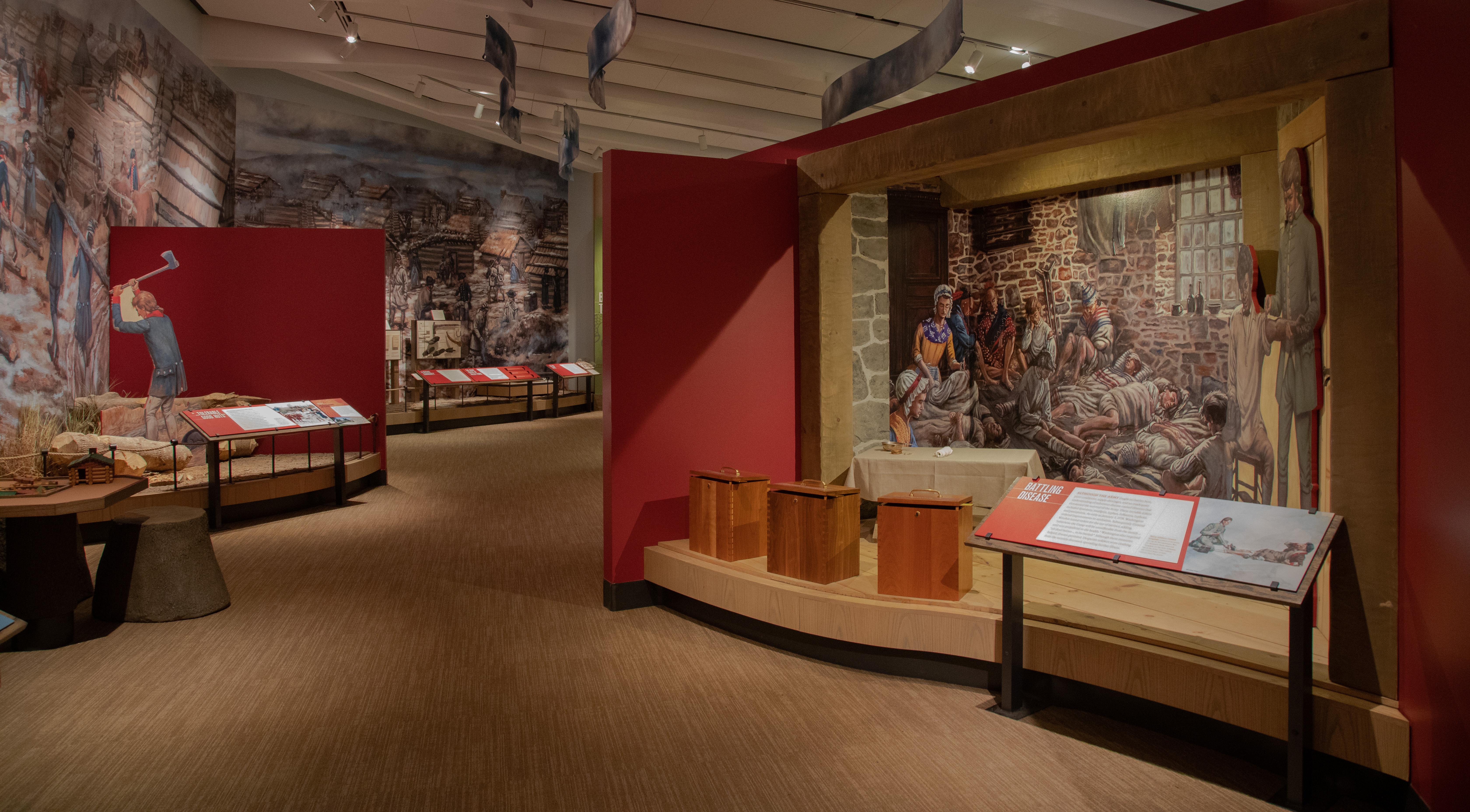 Battling Disease in Museum Exhibit