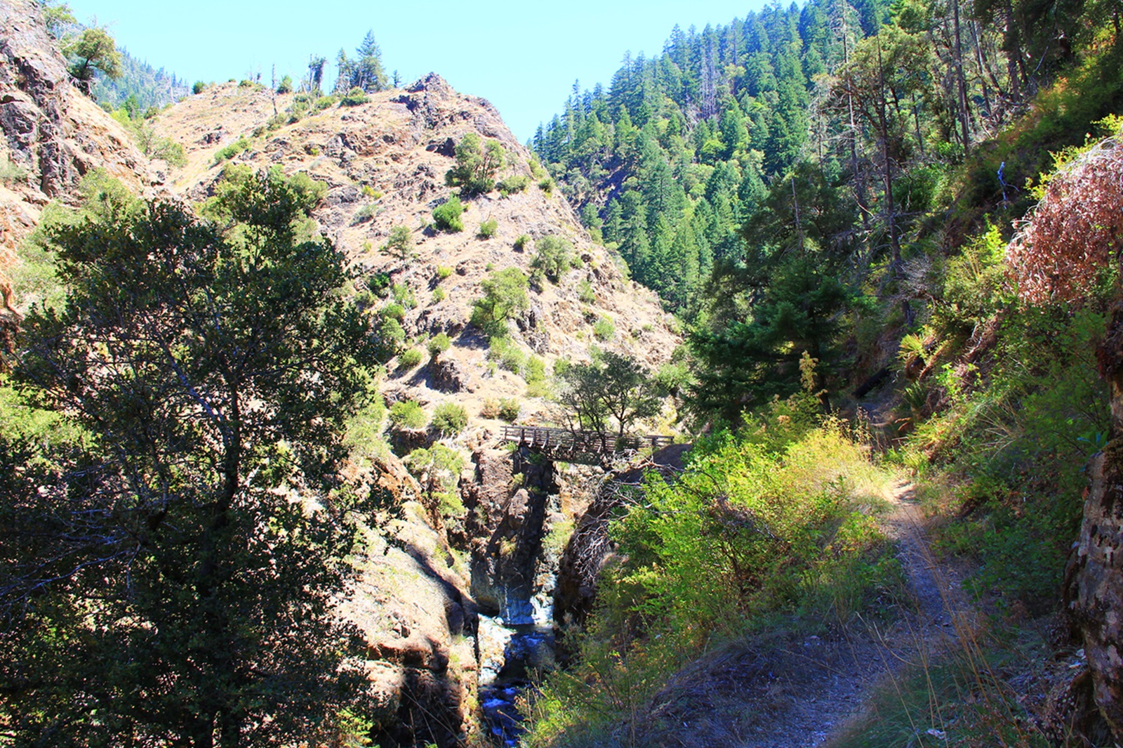 Footbridge over Mule Creek
