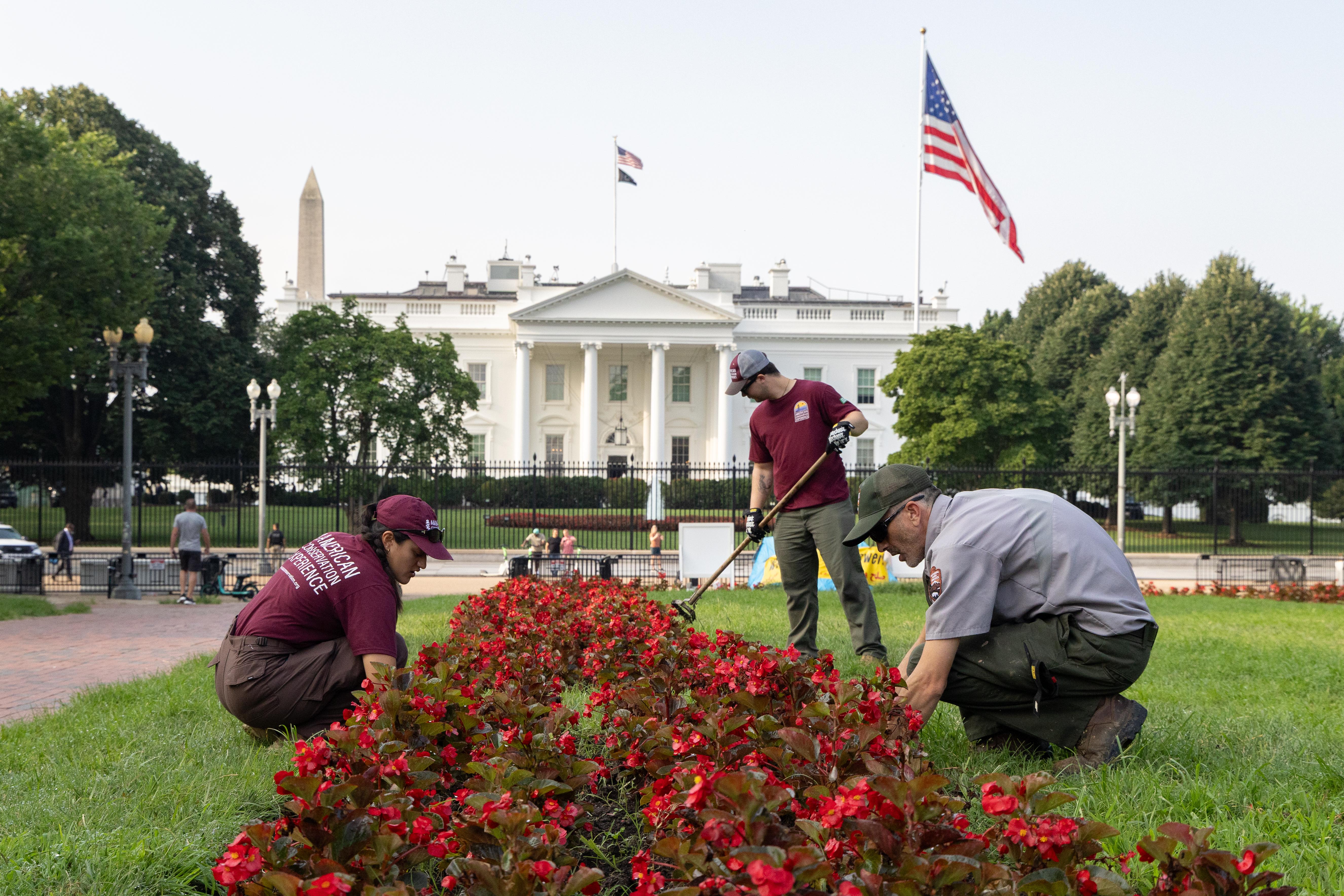 TTAP interns work alongside NPS to maintain Lafayette Park