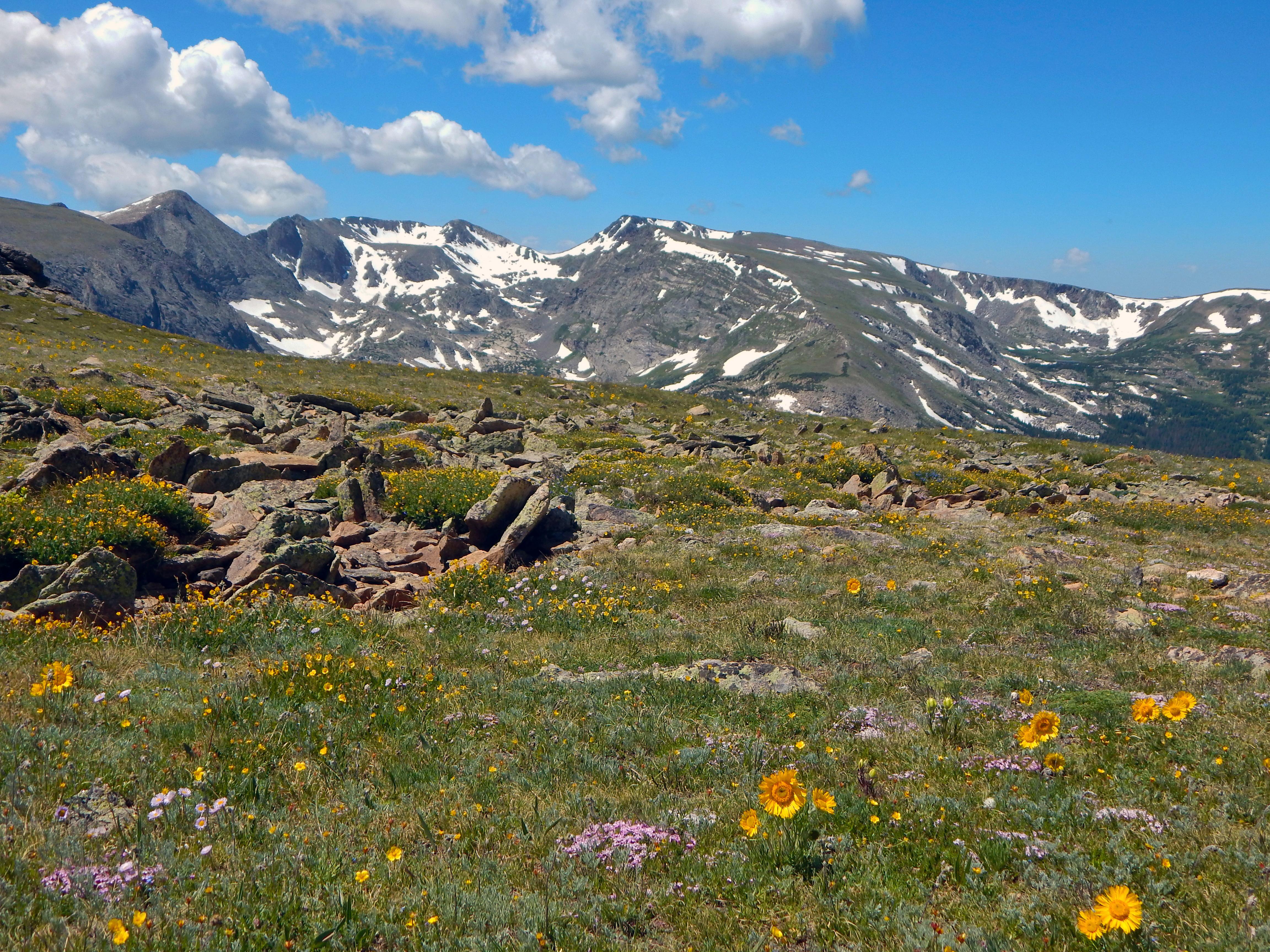 Park image
