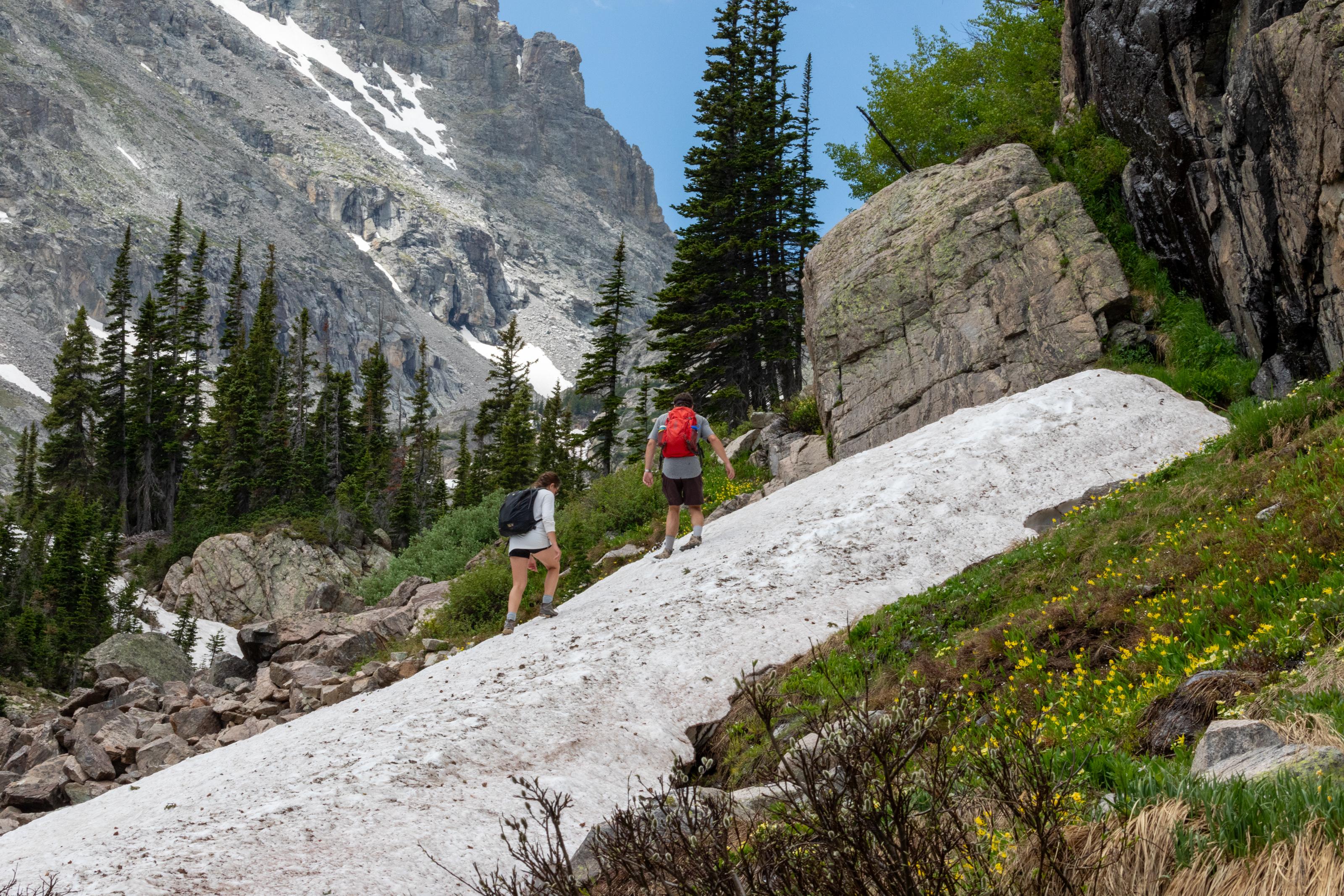 Trail to Bluebird Lake