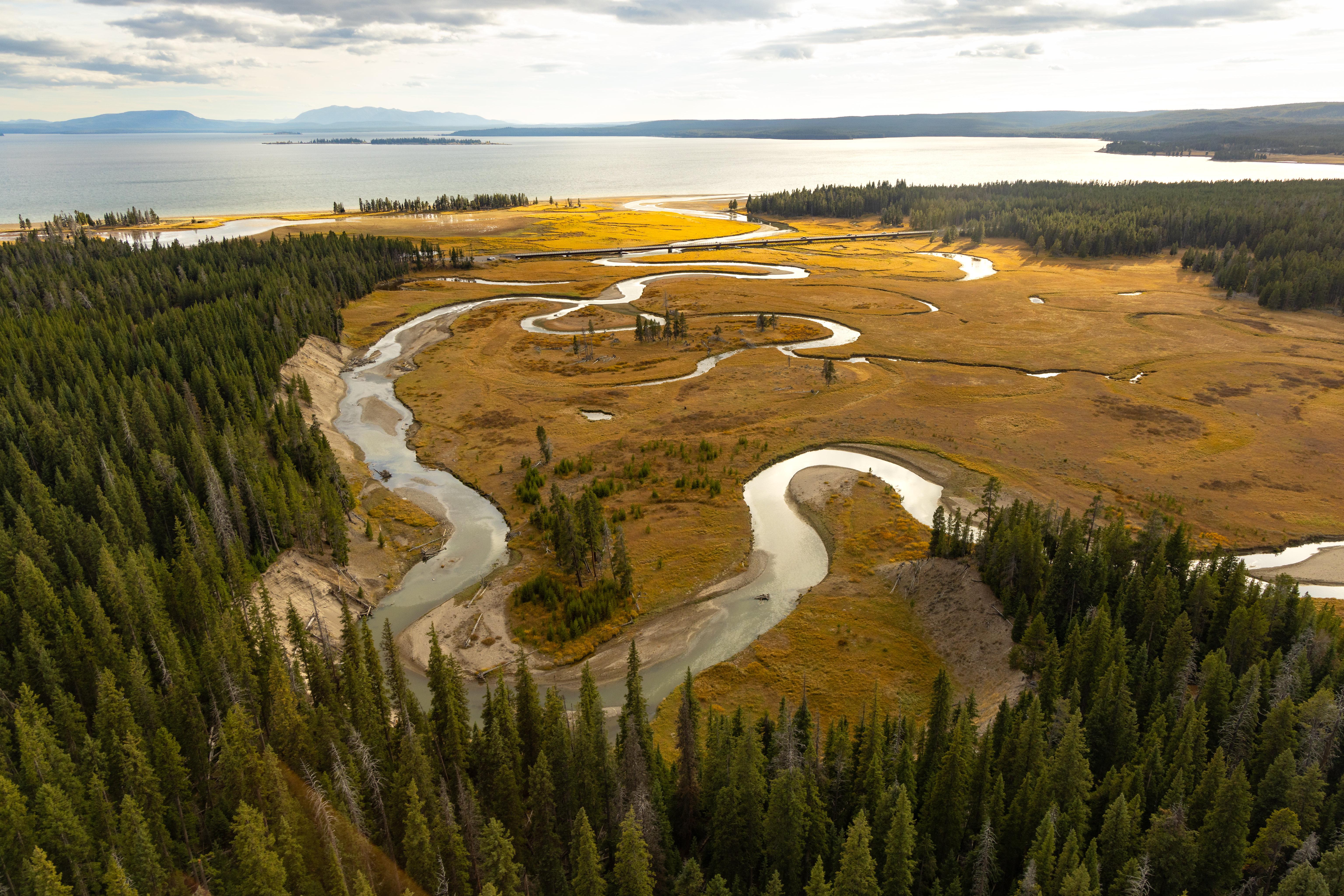 Pelican Creek