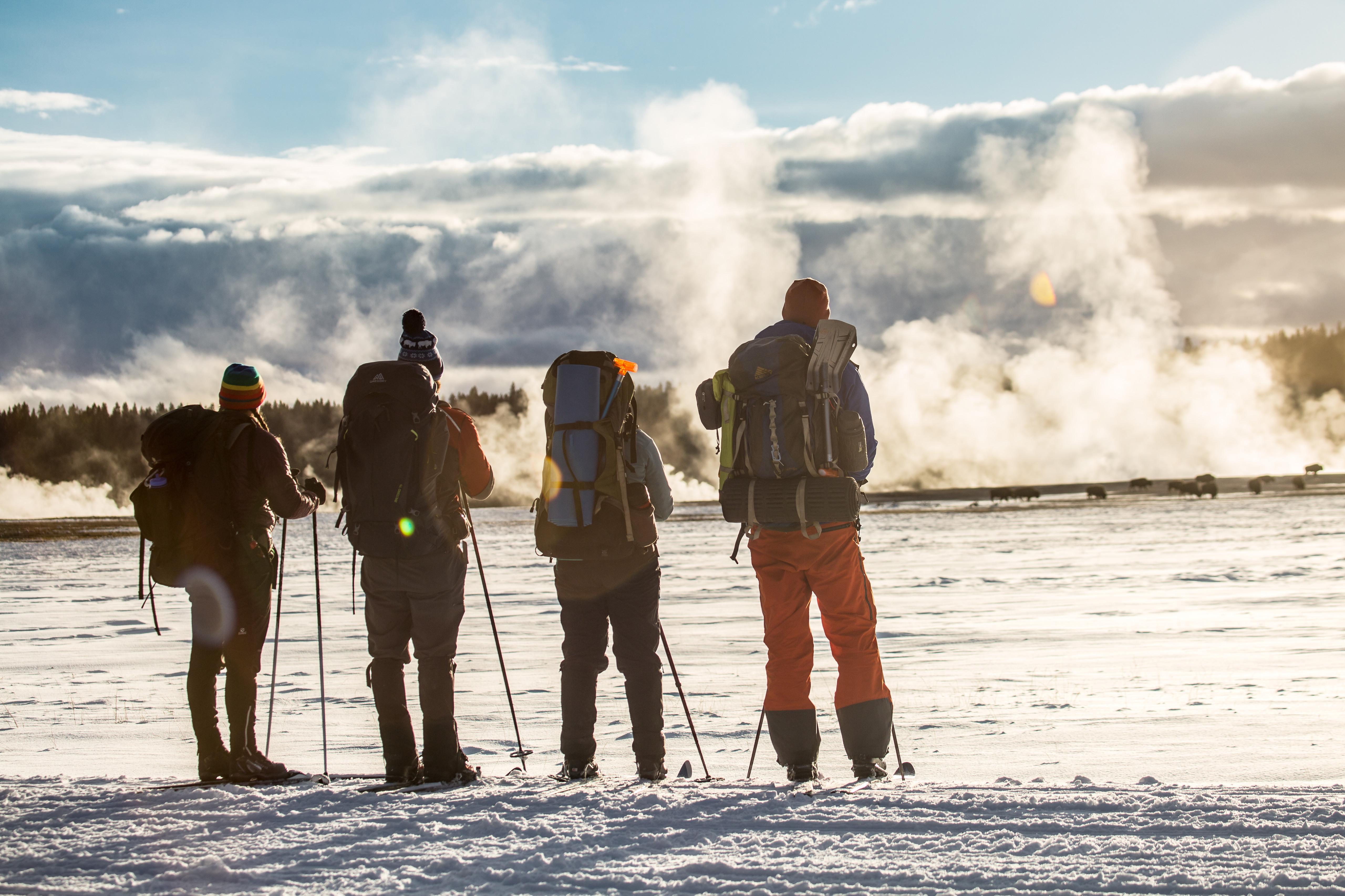 Skiers Watching Bison