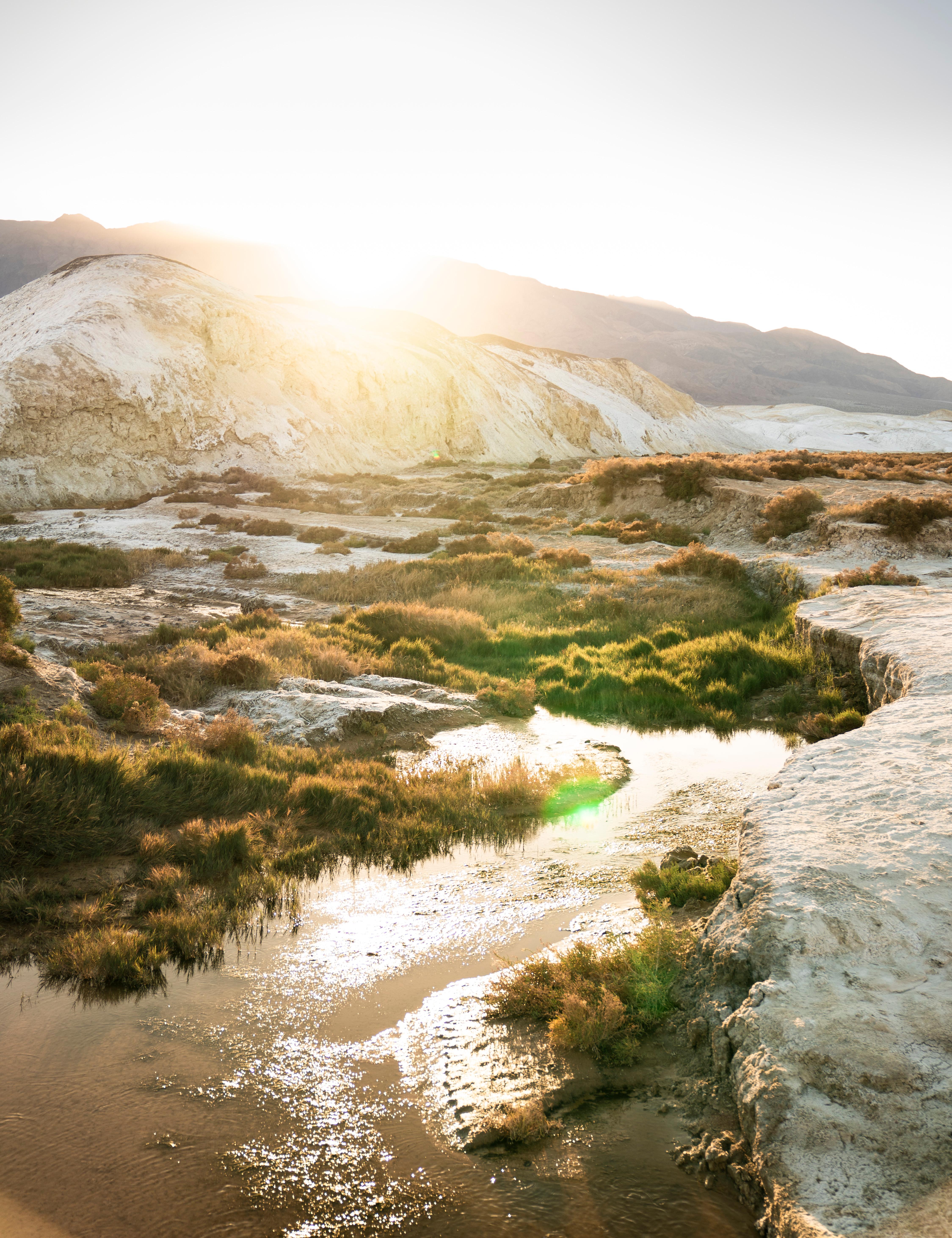 Salt Creek