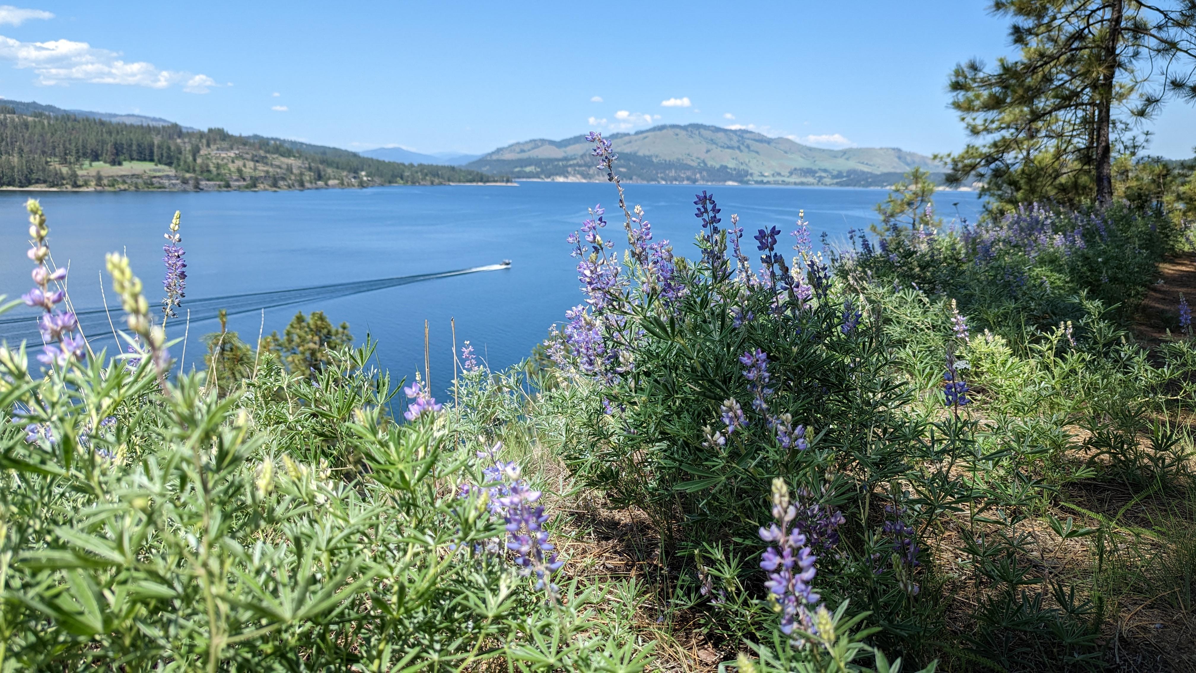 Lake Roosevelt at Kettle Falls