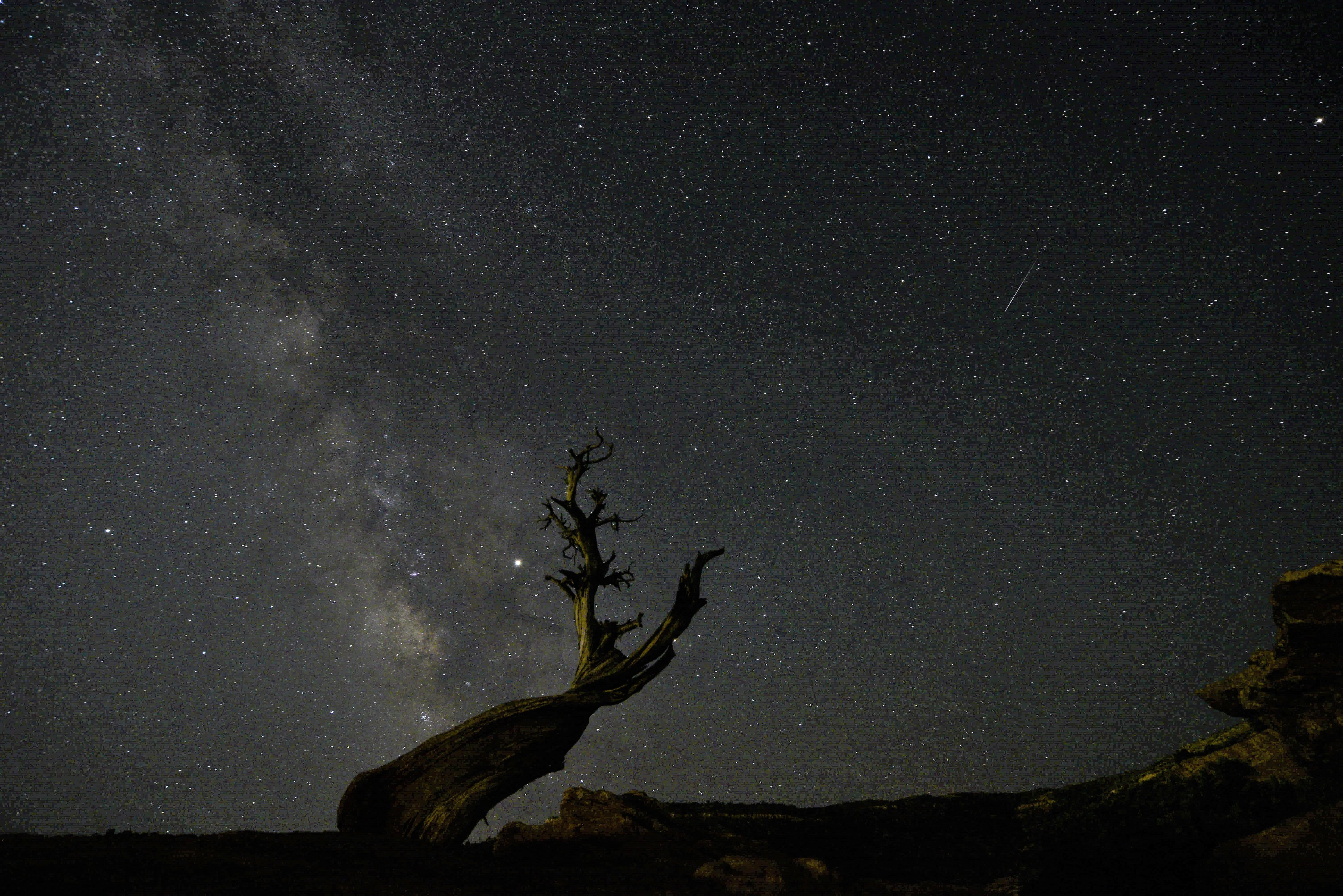 Night Skies with the Milky Way