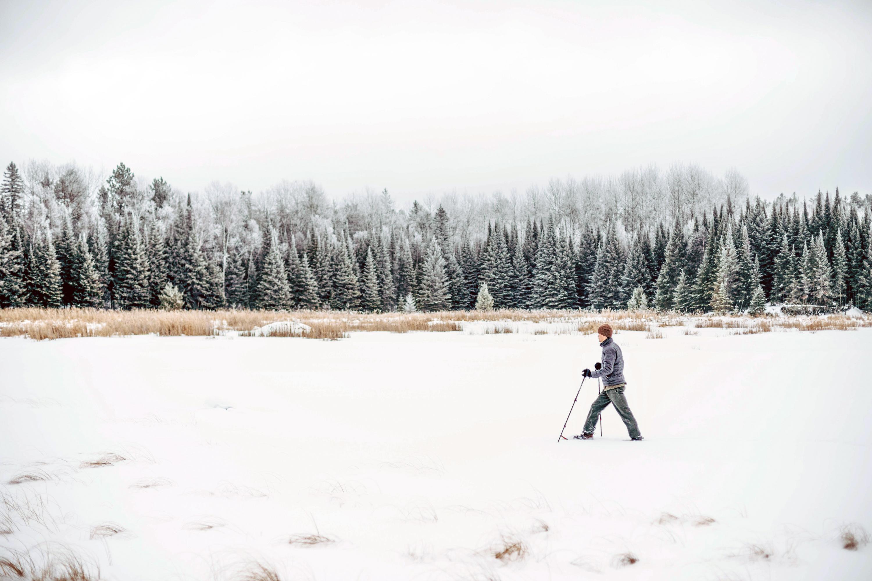 Snowshoeing Near Ash River