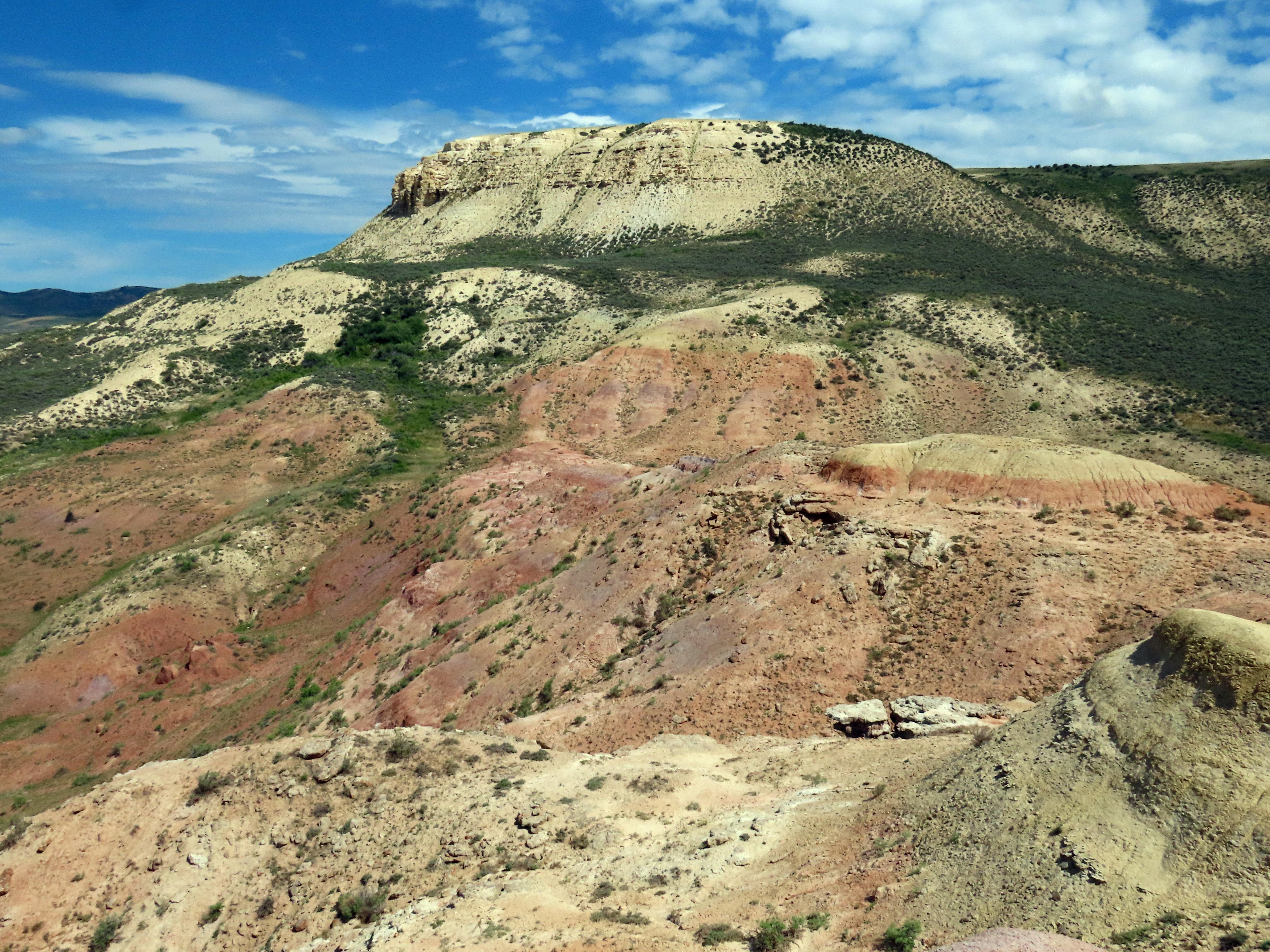Fossil Butte and the Wasatch Formation