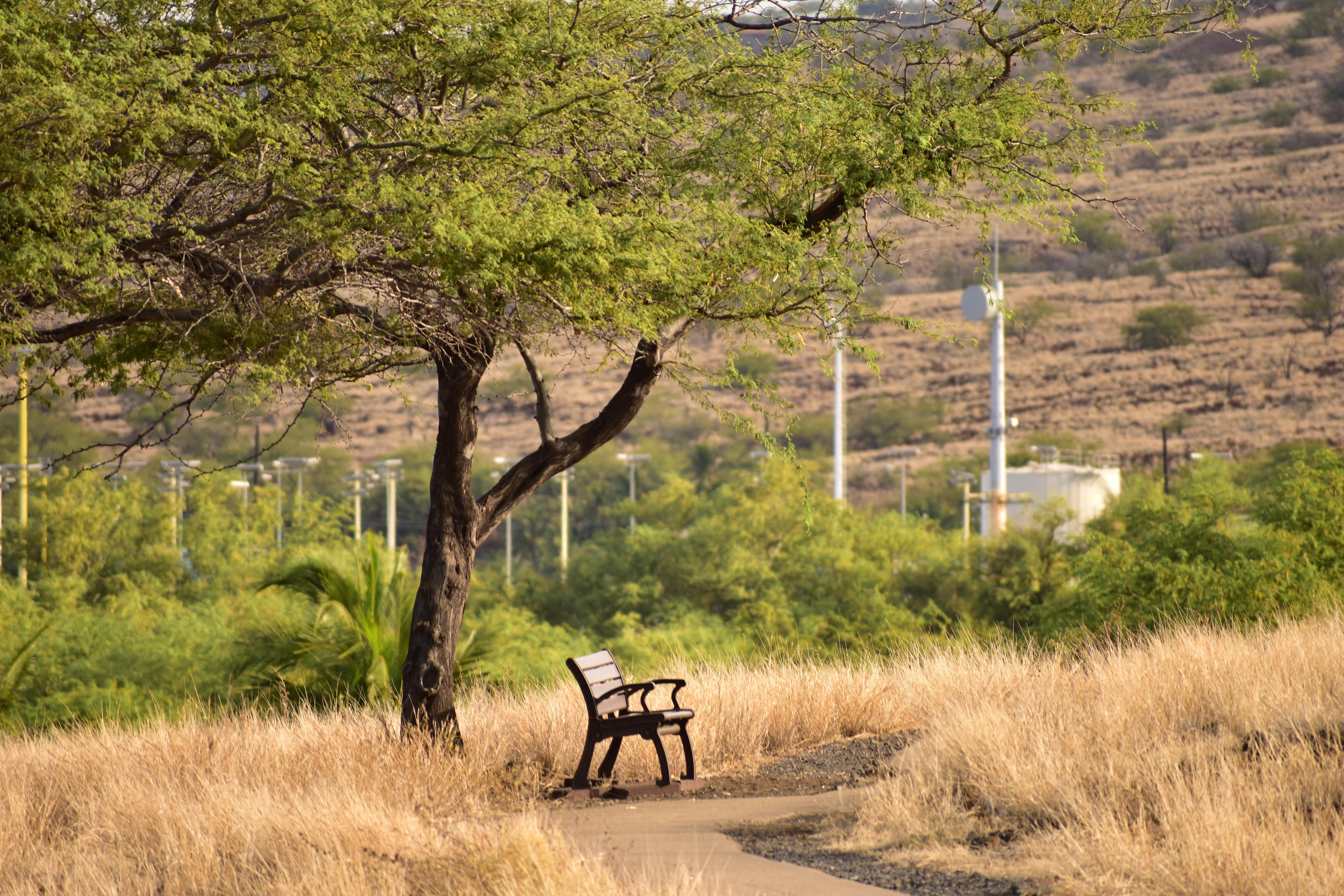 Puʻukoholā Heiau National Historic Site — Puʻukoholā Heiau National Historic Site
