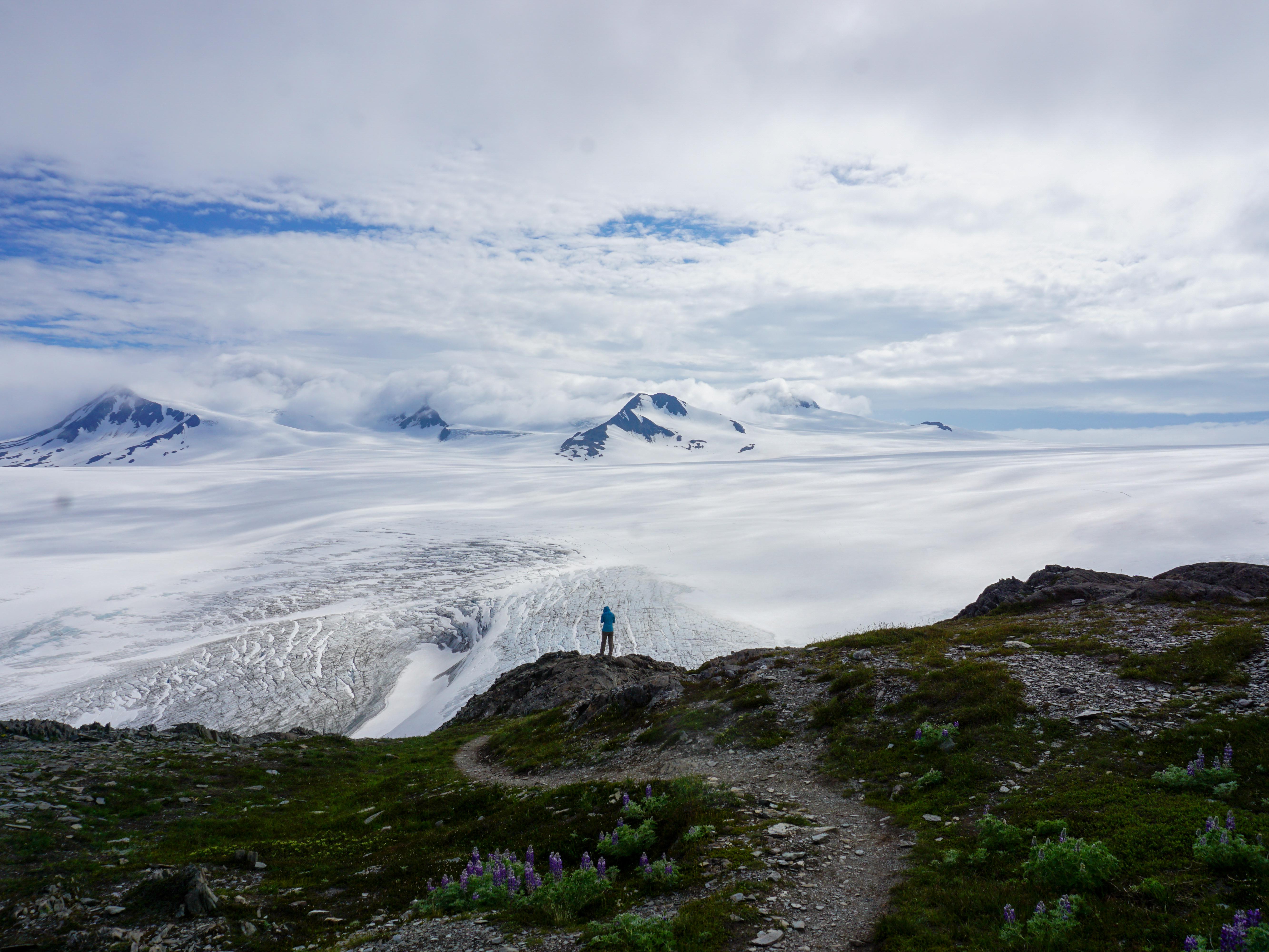 The Harding Icefield