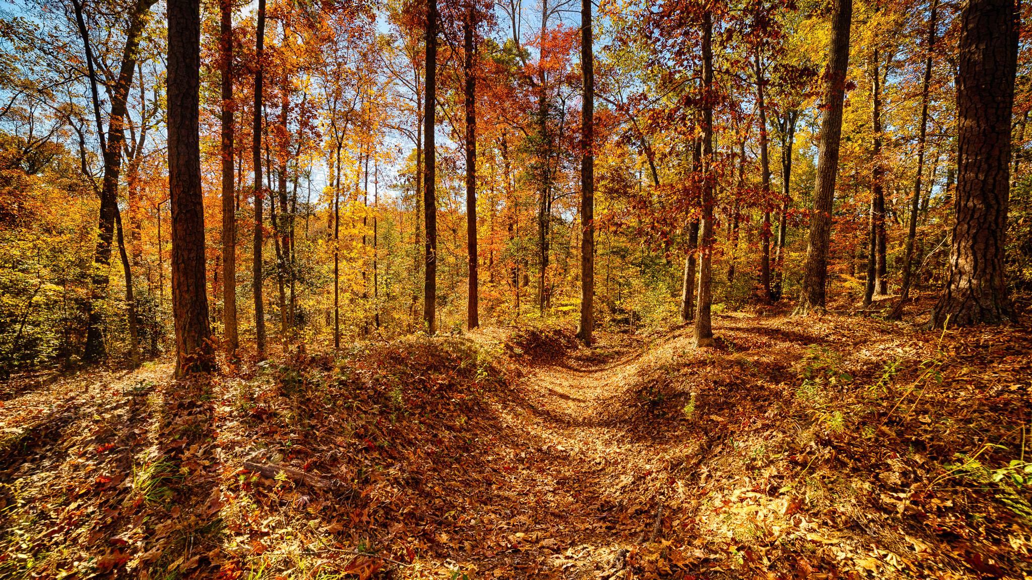 Richmond National Battlefield Park