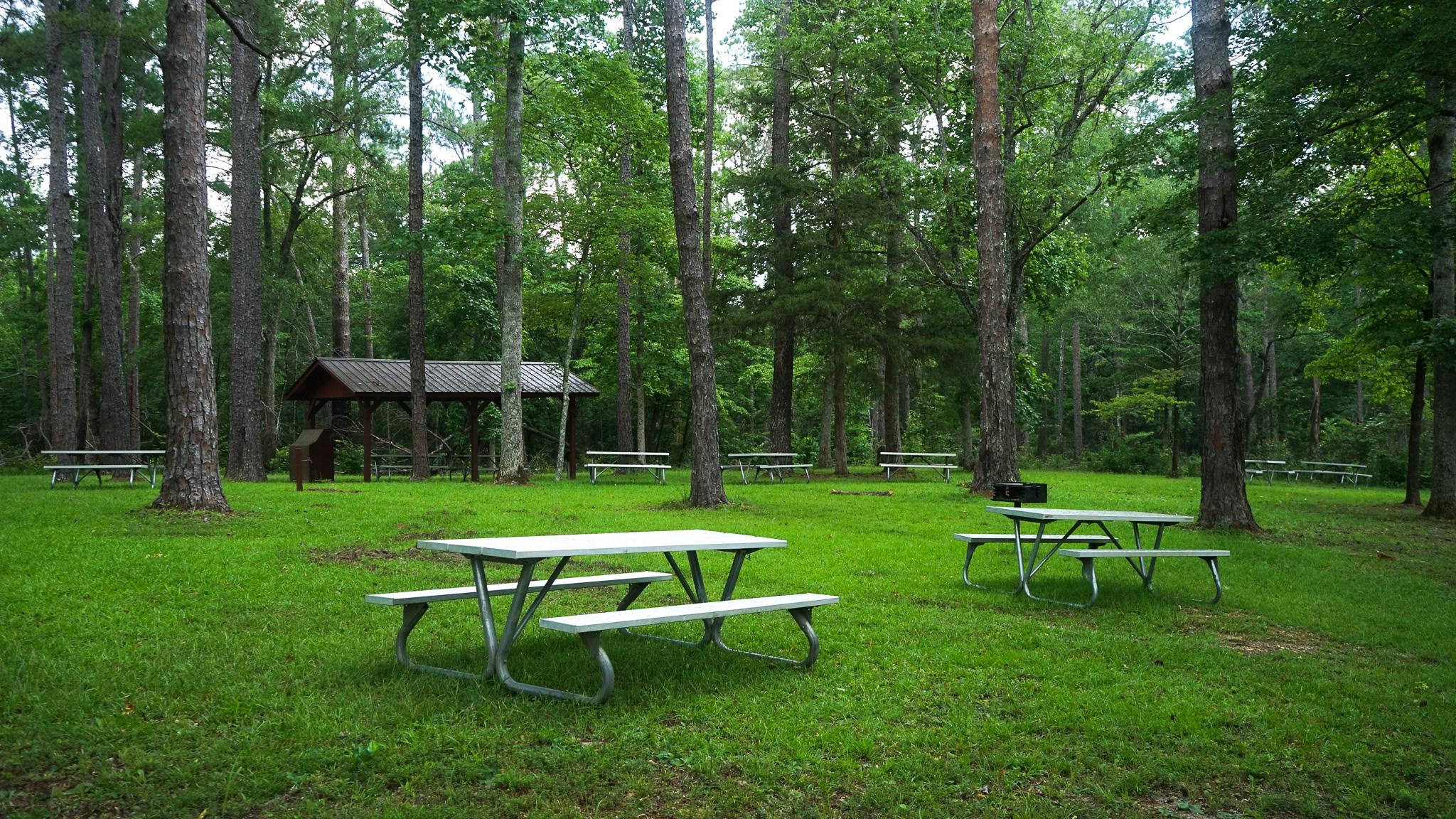 Picnic Area