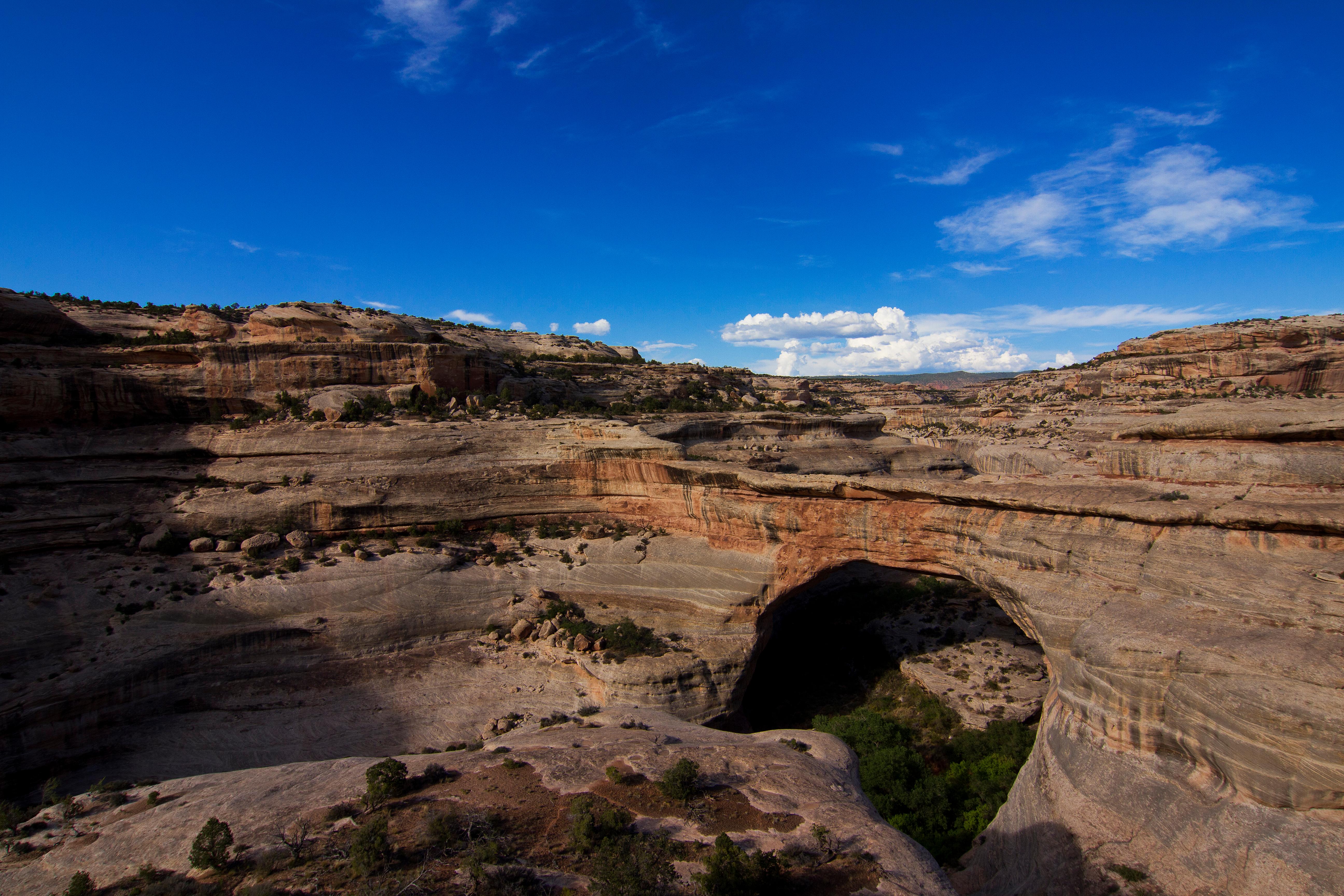 Natural Bridges National Monument