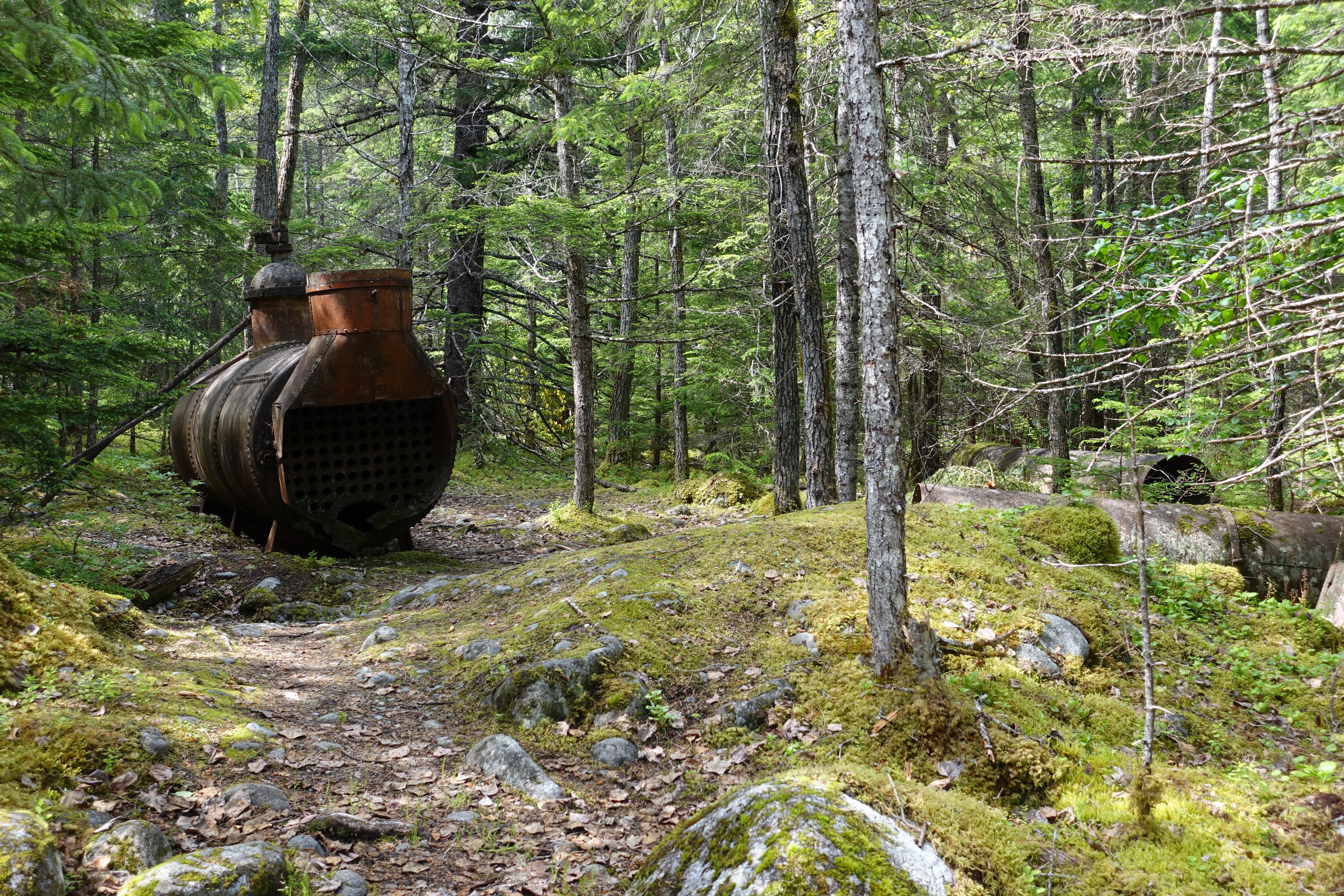 Historic boiler at the Canyon City Townsite, Chilkoot National Historic Trail