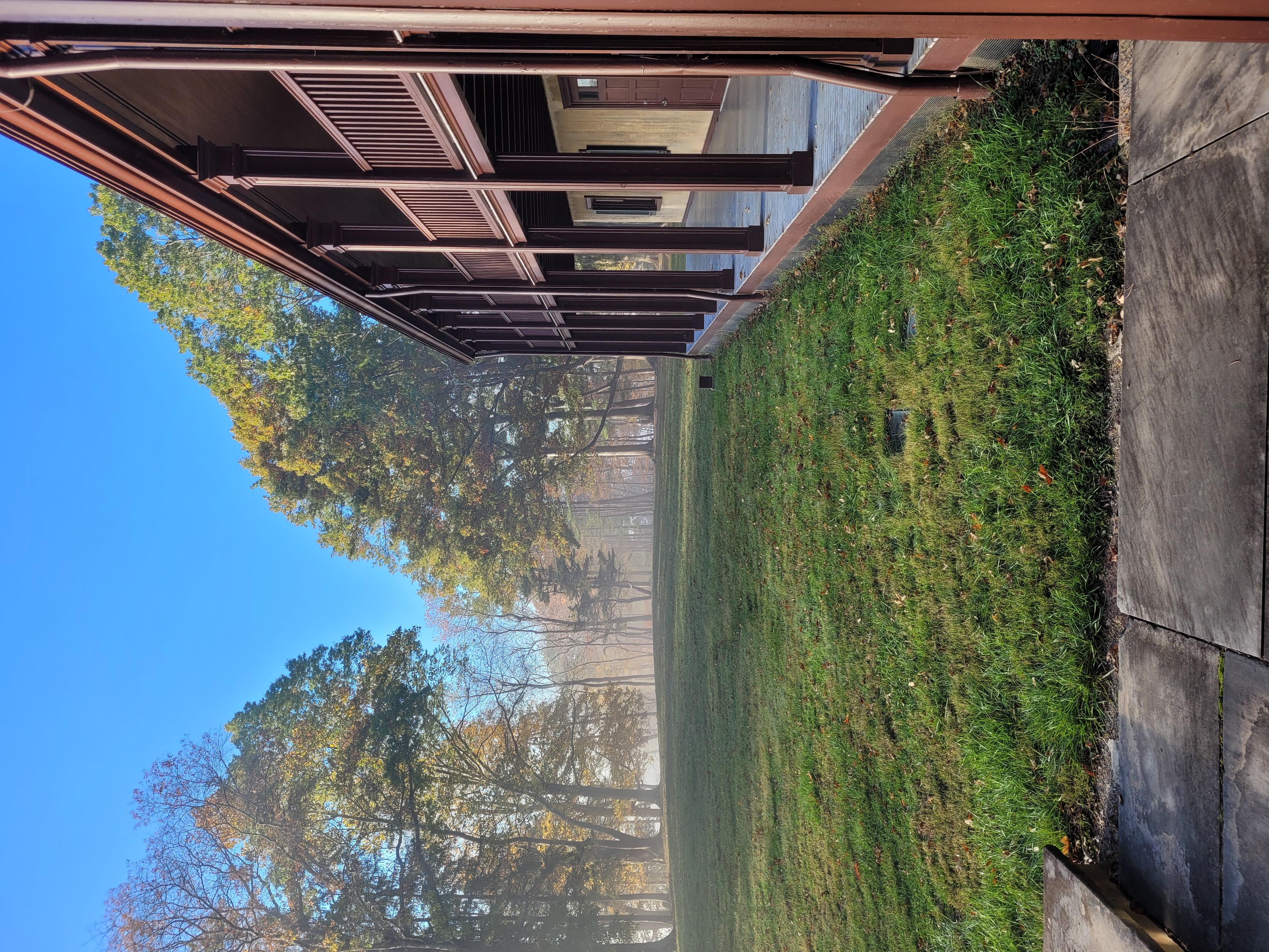 Foggy East Lawn