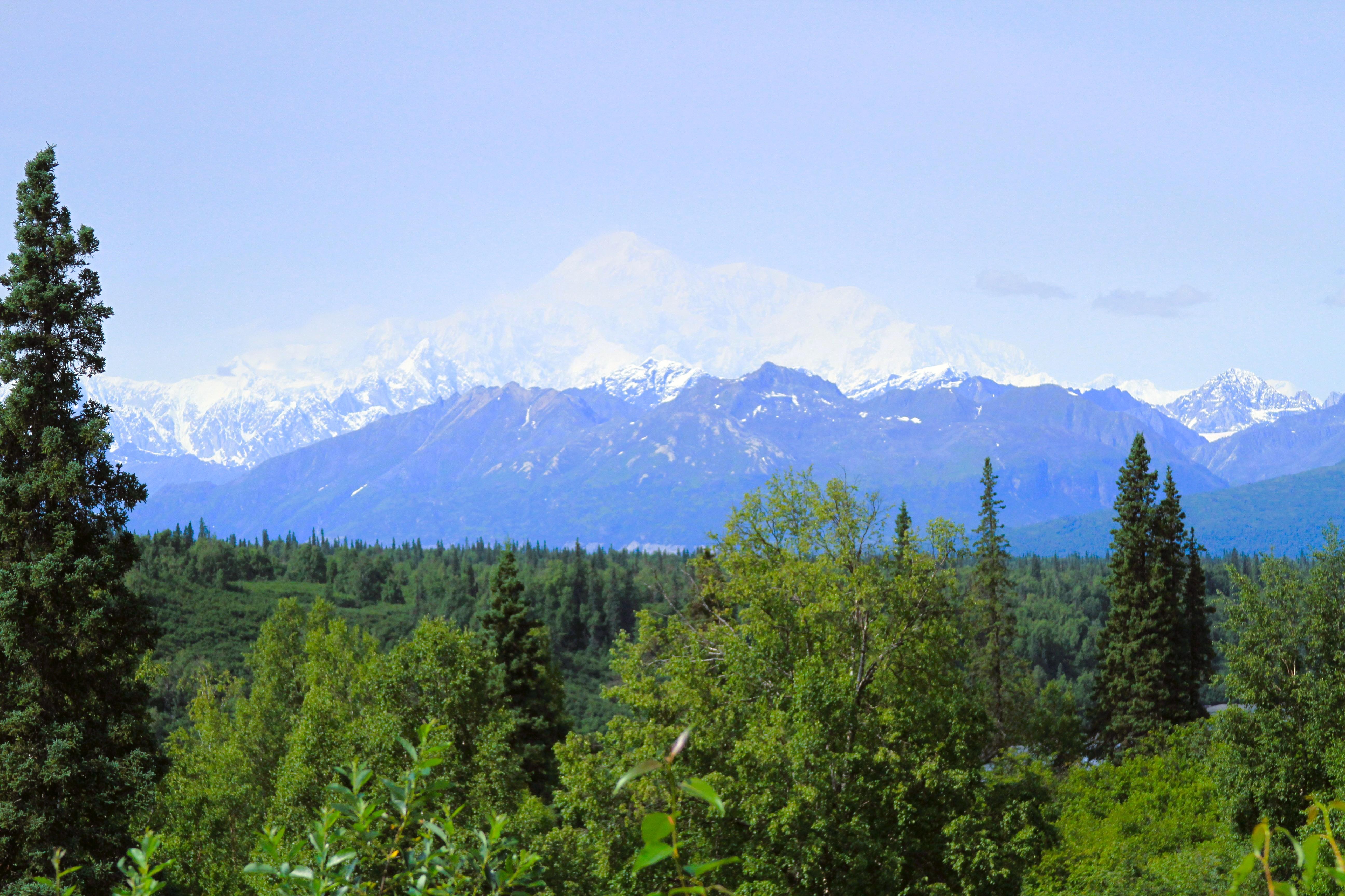 Denali State Park and Denali National Park