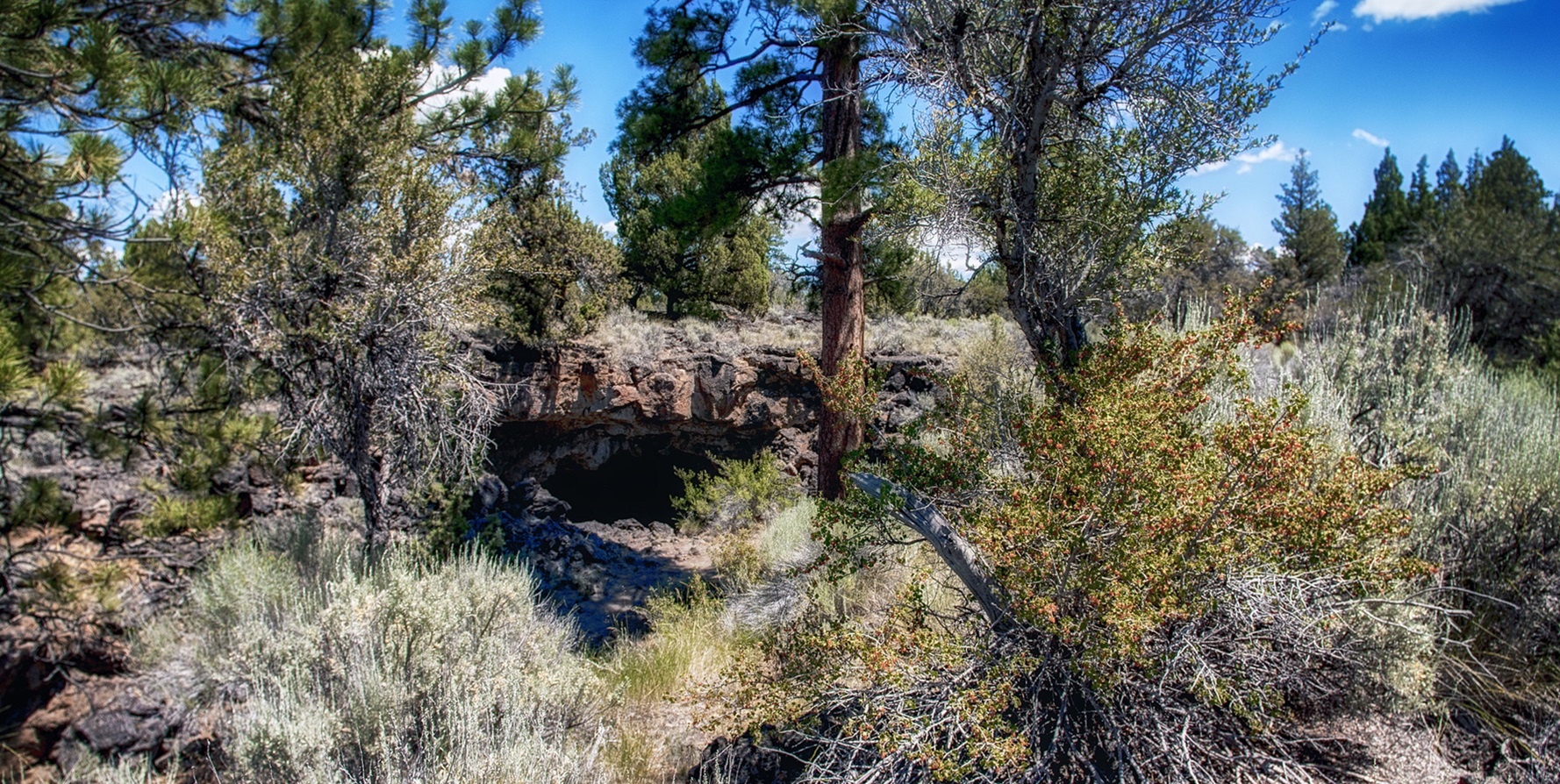Derrick Cave