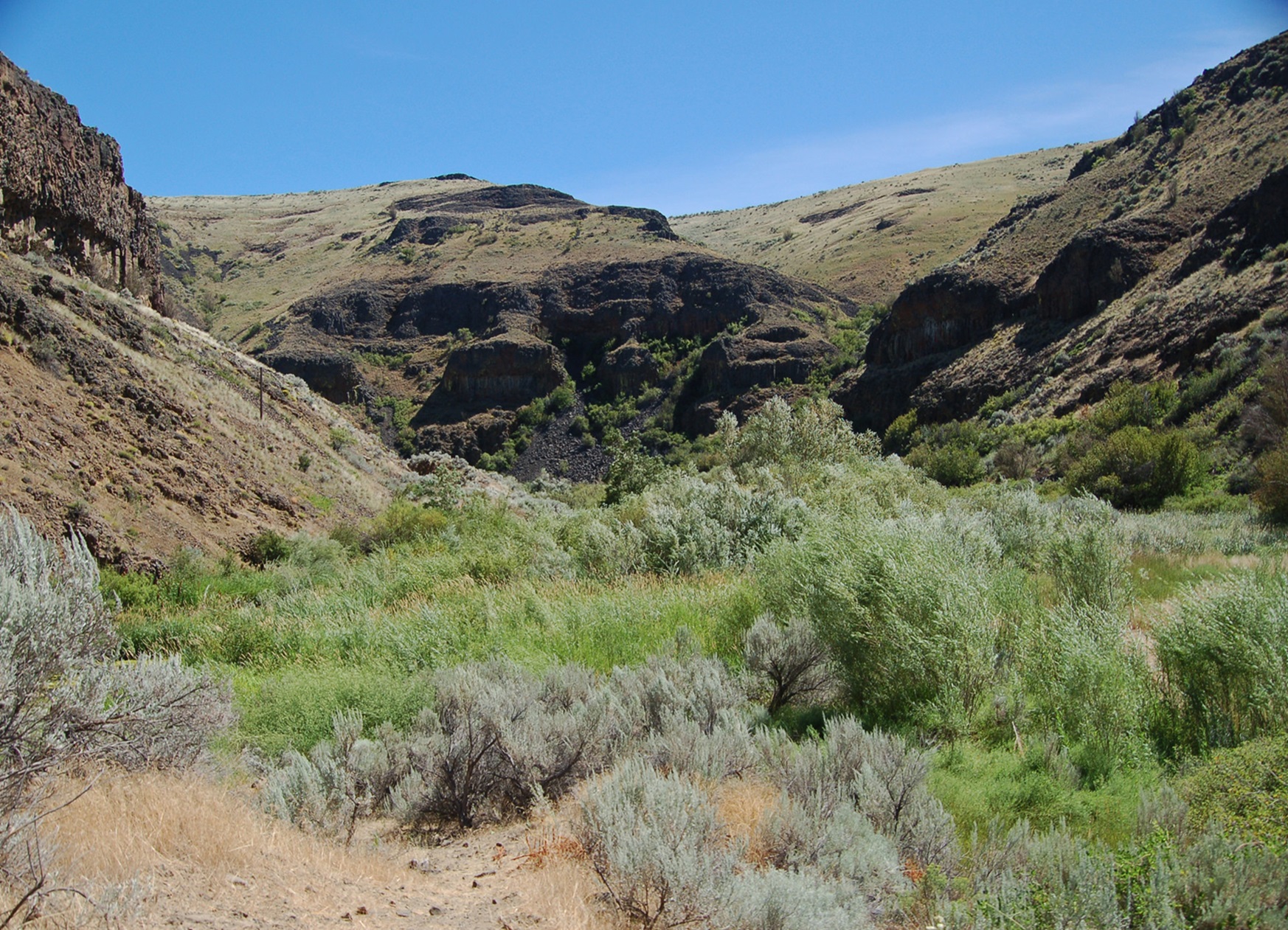 Douglas Creek