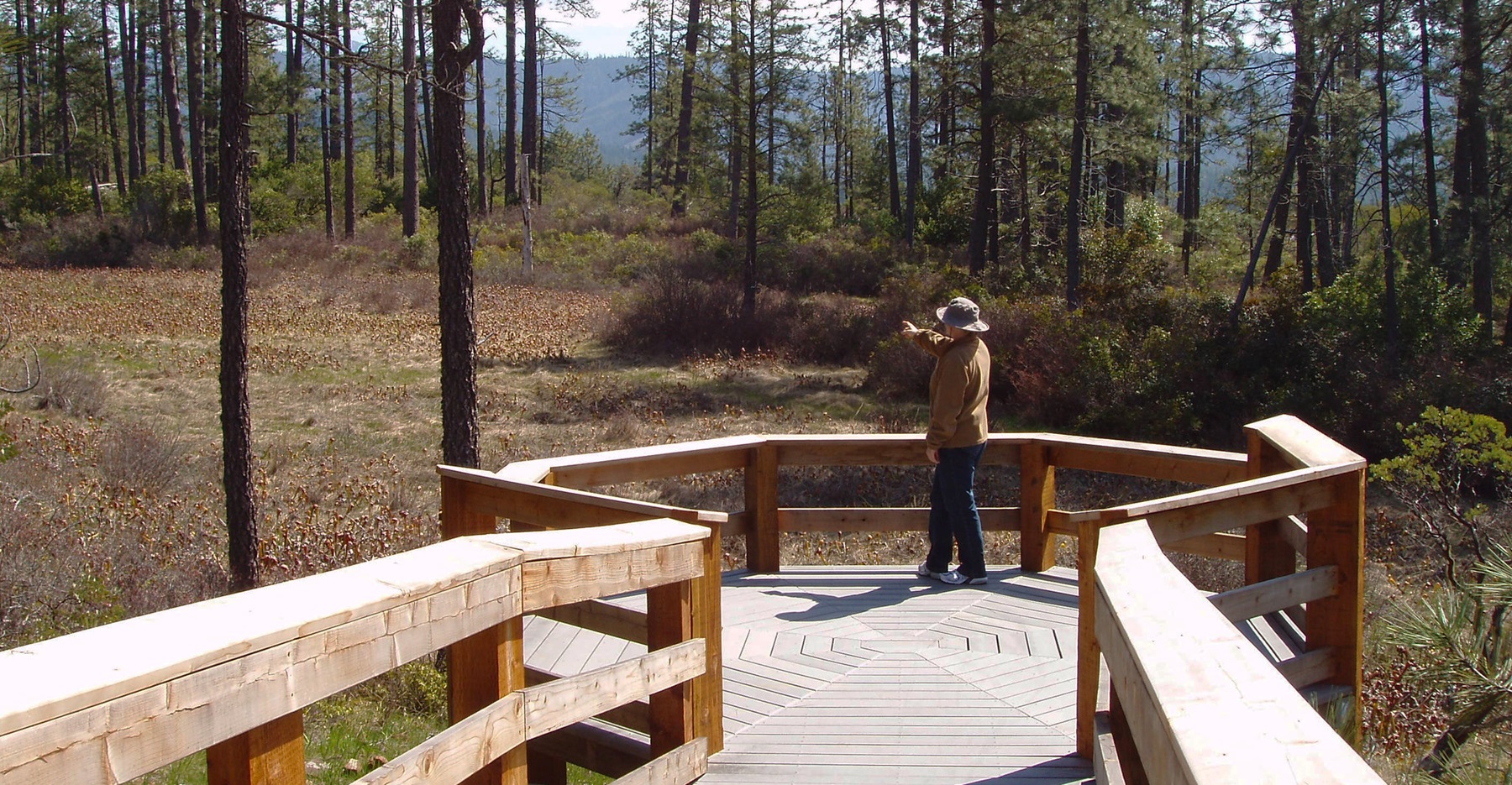 Eight Dollar Mountain & Jeffrey Pine Loop Trail
