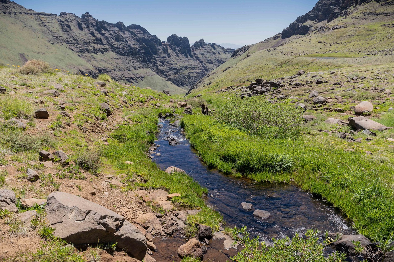 Wildhorse Creek Wild and Scenic River as it spills from Wildhorse Lake