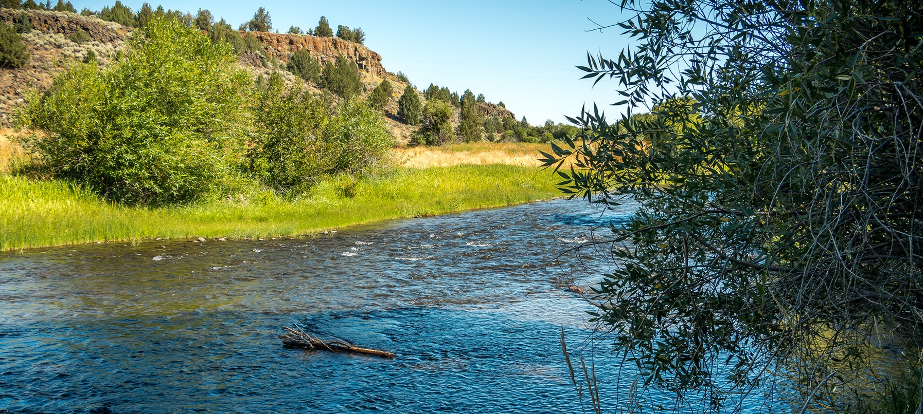 Donner und Blitzen Wild and Scenic River