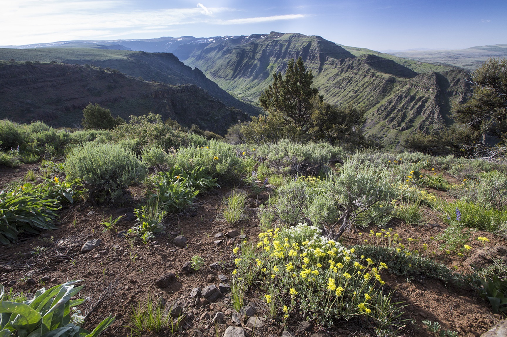 Steens Mountain
