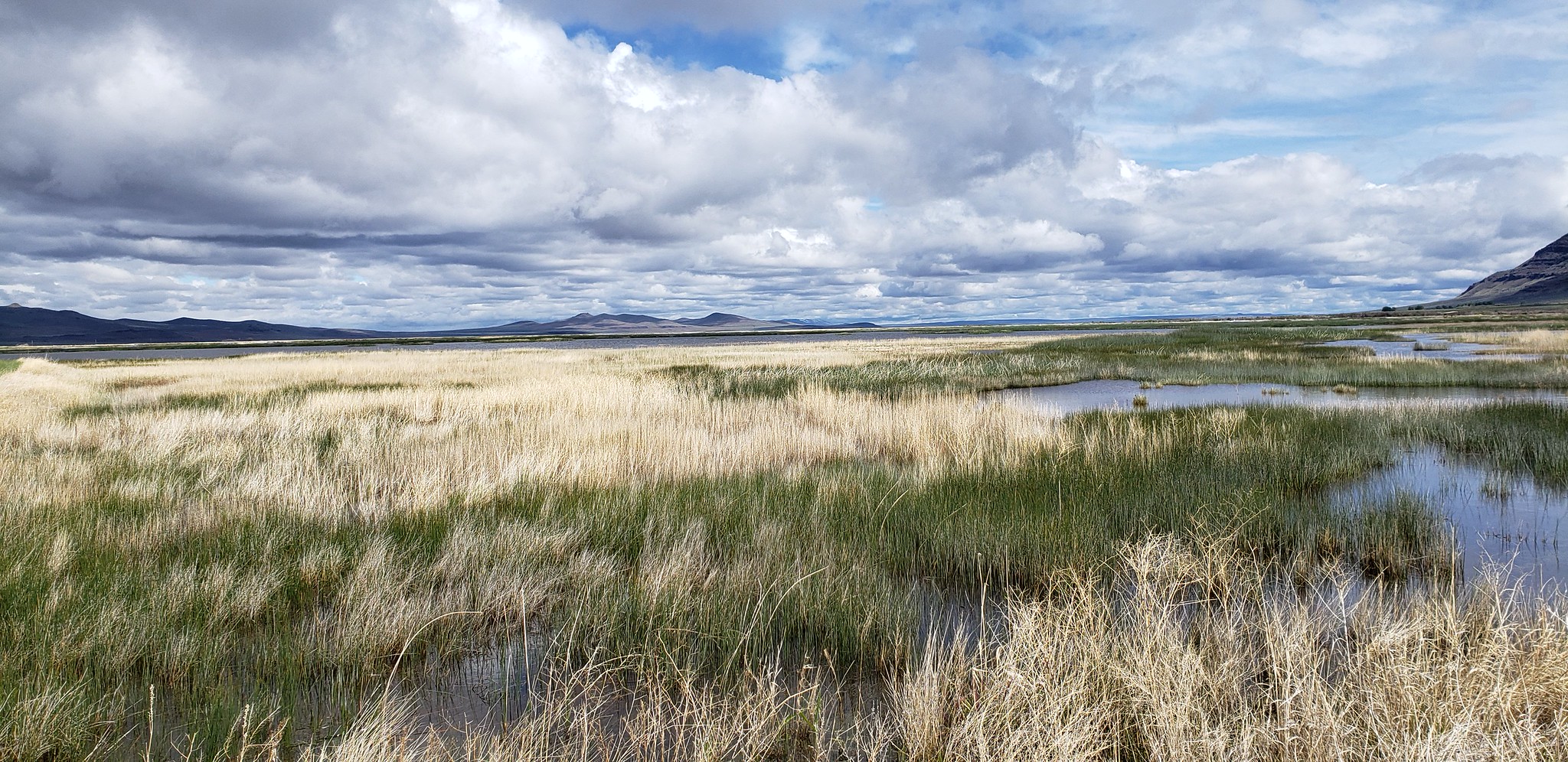 Cloudy spring day at the Warner Wetlands in southeast Oregon